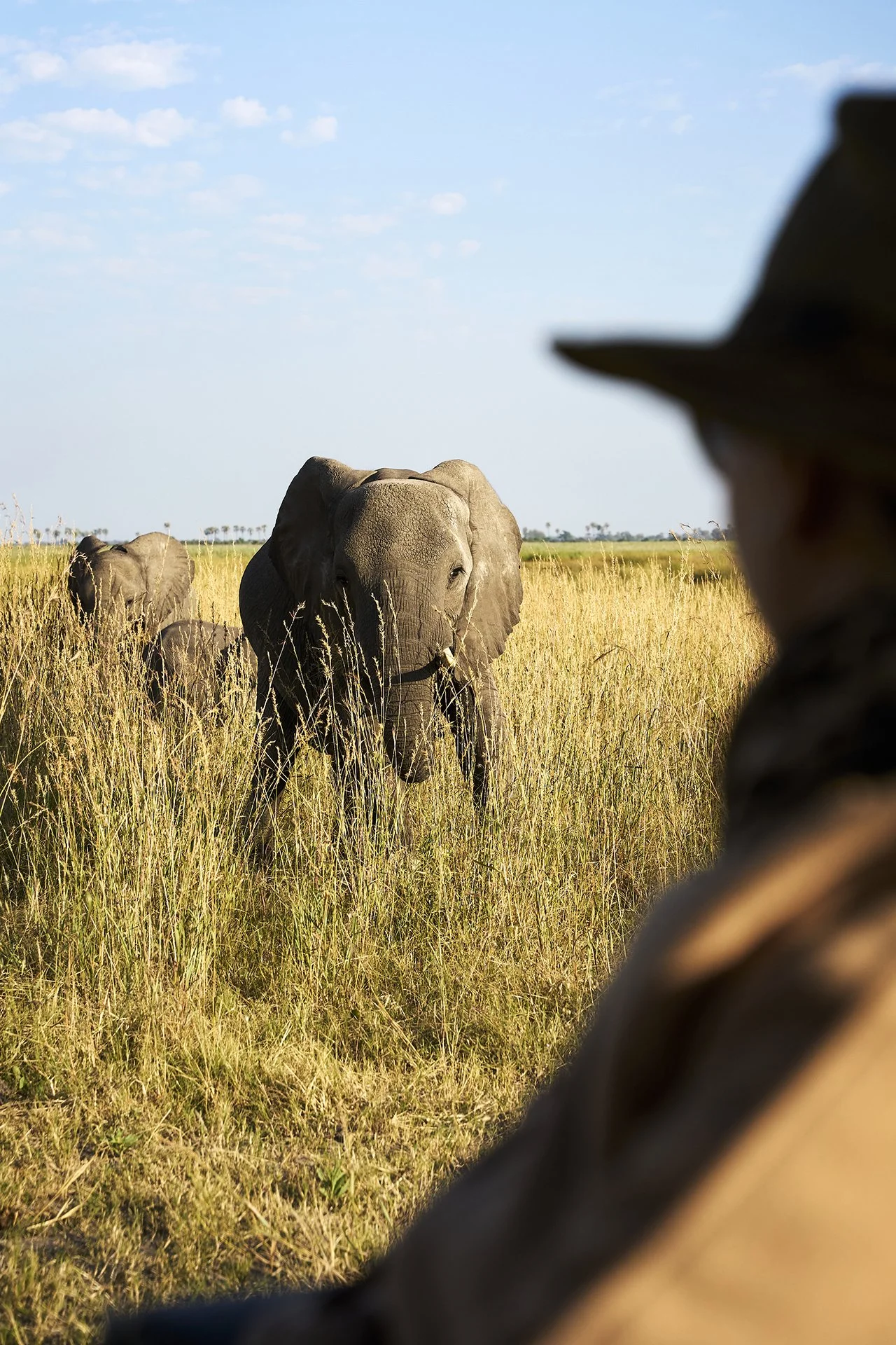 dmAFRICA X Smartfly MegaFam2025_Duma Tau_GibsonPhoto 195.jpg