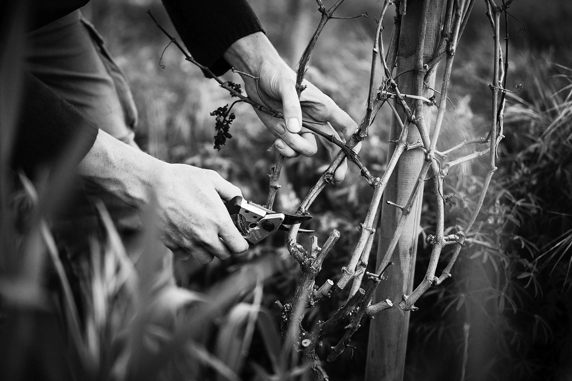Rijk's_Sept2024_Gibsonphoto 30.jpg
