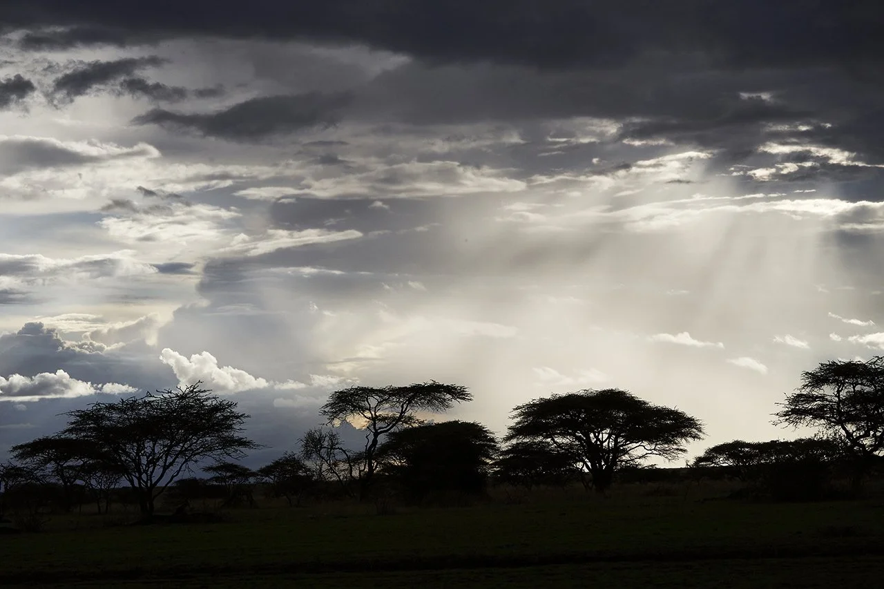 DM Africa_Ol Donyo 77.jpg