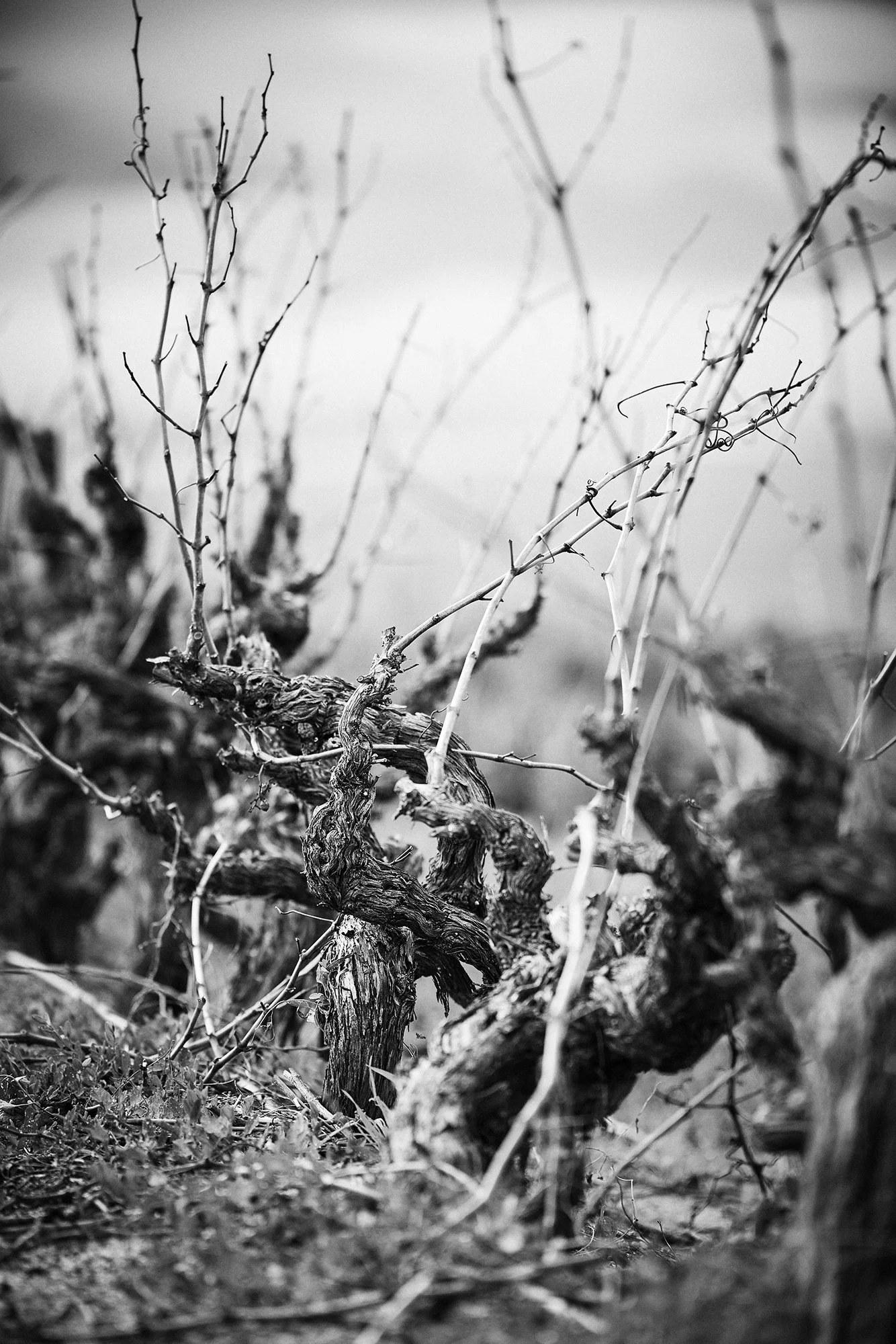 July 2024_GibsonPhoto 28.jpg