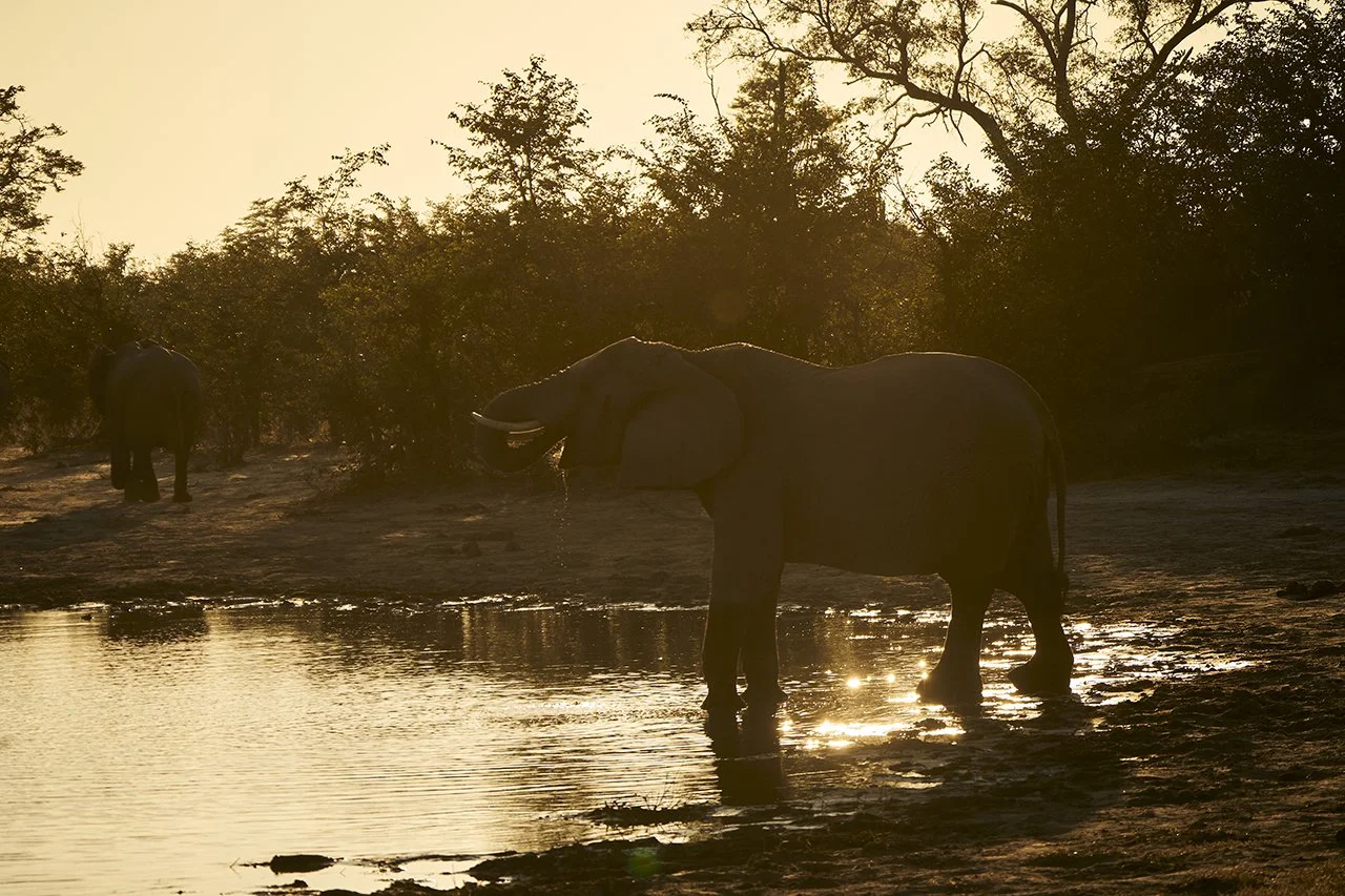 dmAFRICA X Smartfly MegaFam2025_Duma Tau_GibsonPhoto 190.jpg