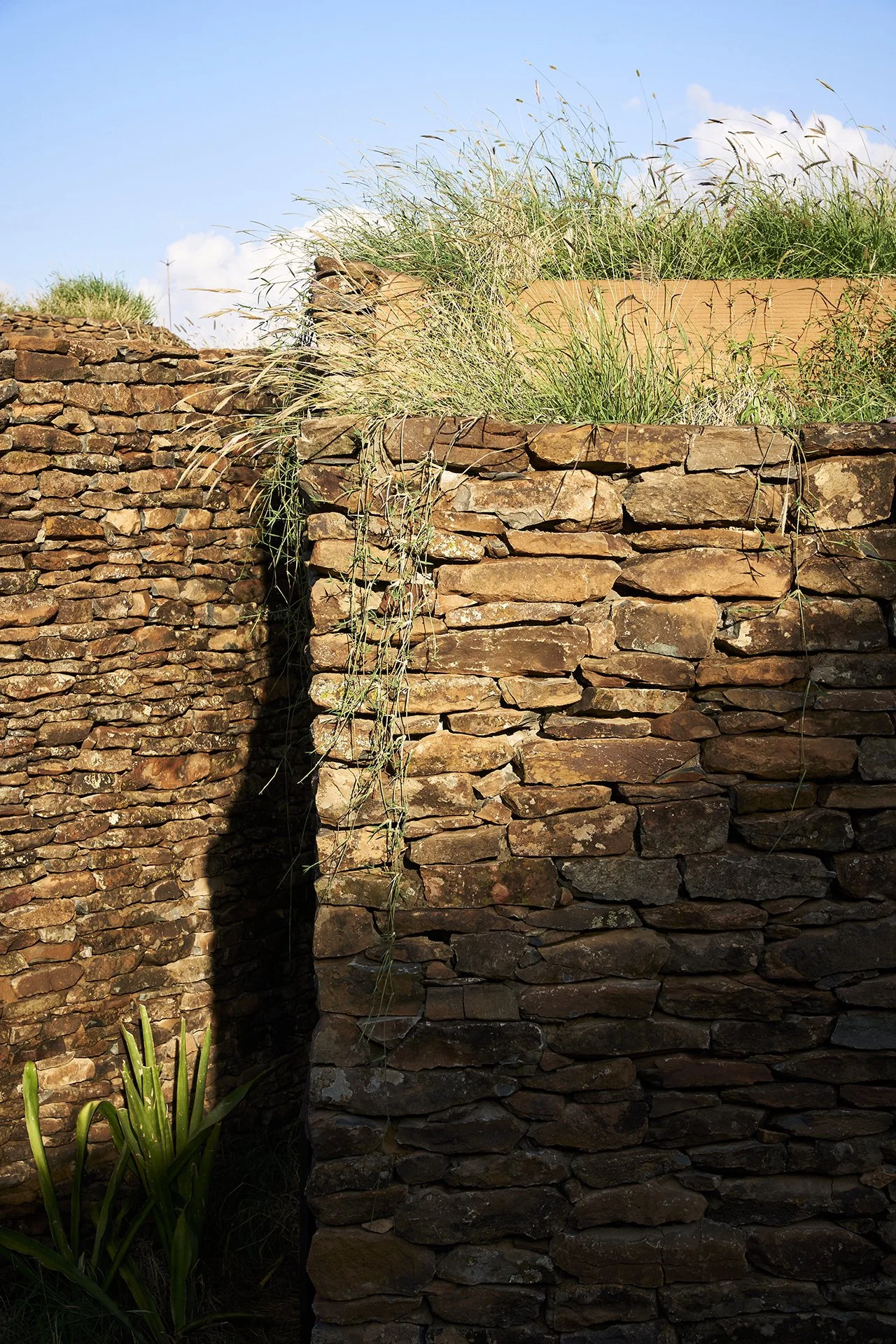 dmAFRICA_AB Suyian_GibsonPhoto 12.jpg