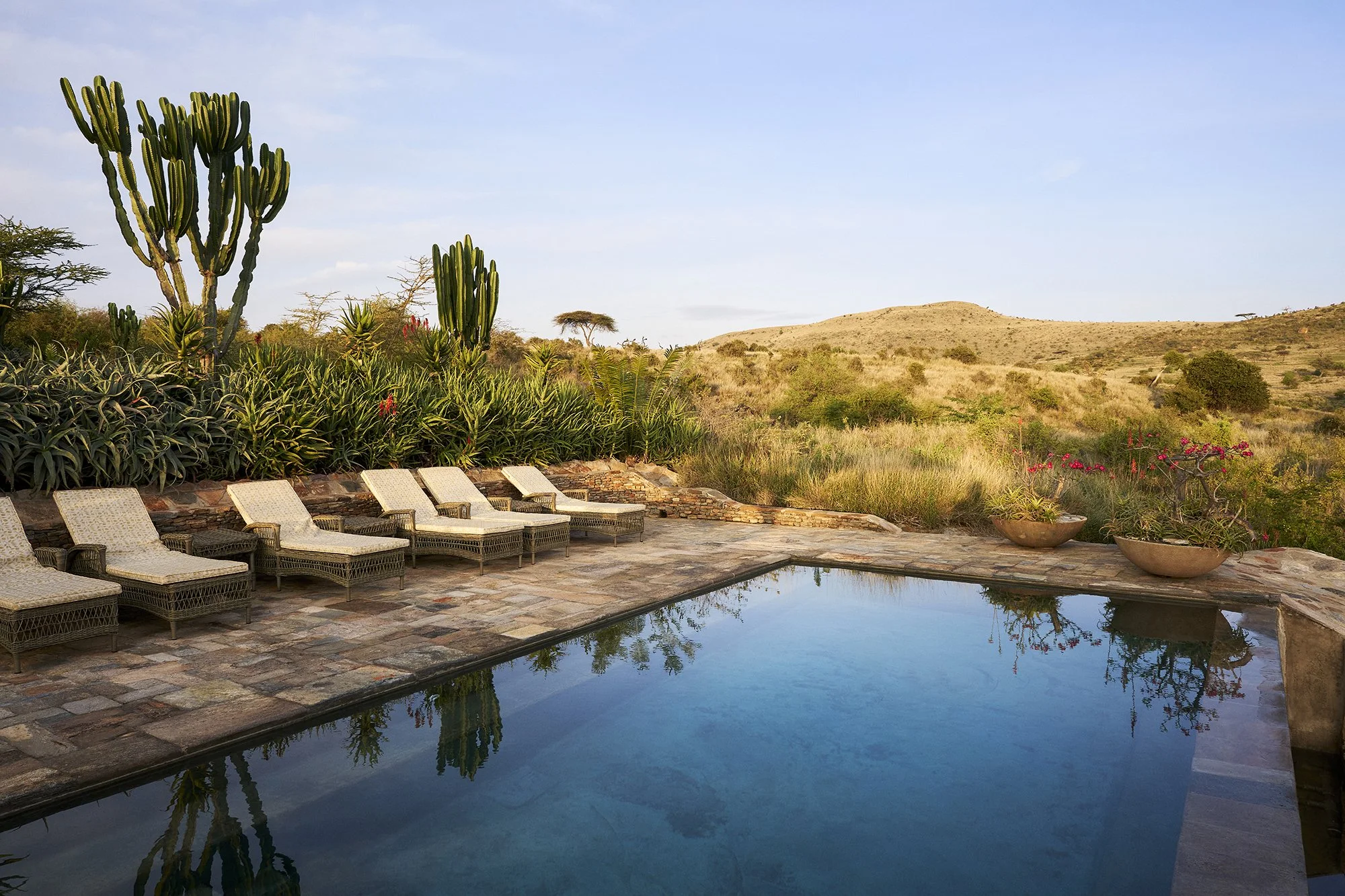dmAFRICA_Lewa Private Wilderness_GibsonPhoto 110.jpg