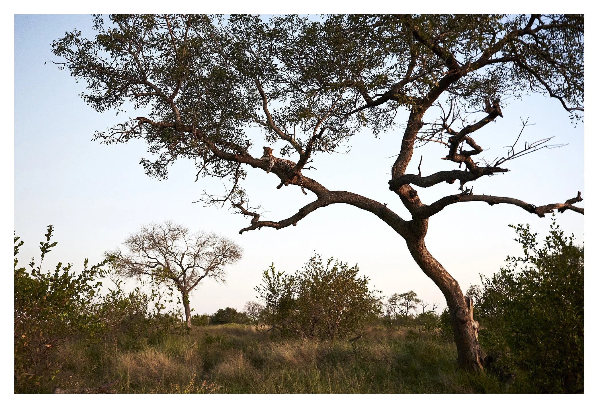 MonwanaMay2026_wildlife_GibsonPhoto 16.jpg