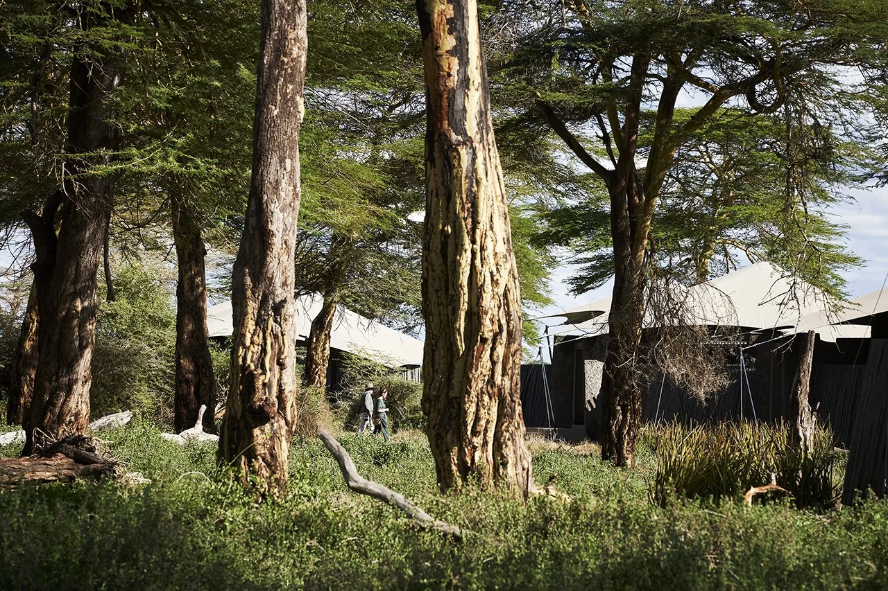 DM Africa_Angama Amboseli 81.jpg