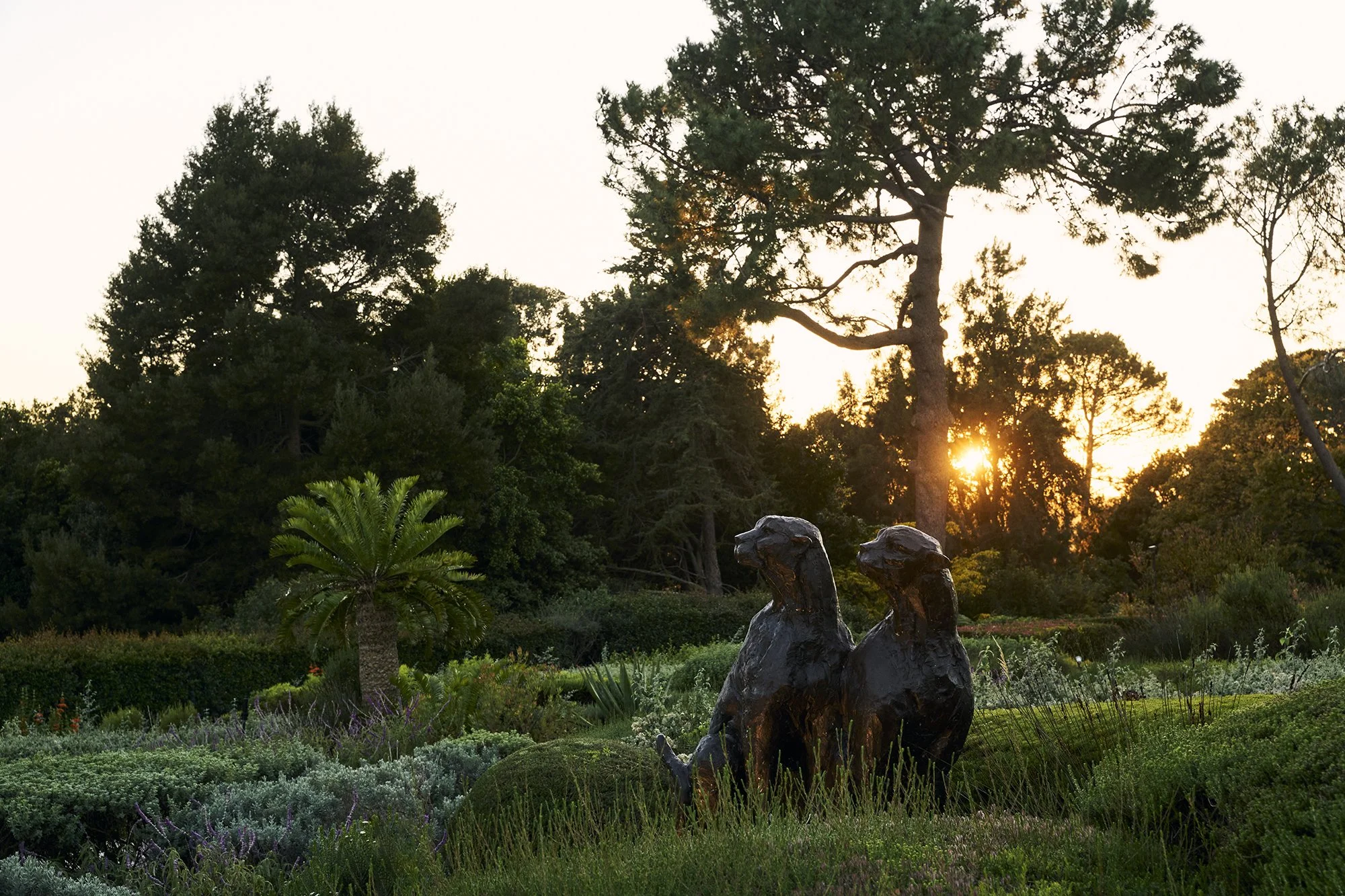 Ivan McCarthy_Villa Dawn_GibsonPhoto 33.jpg