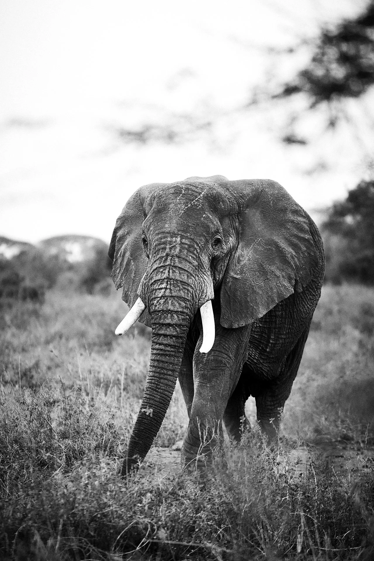 DM Africa_Angama Amboseli 26.jpg