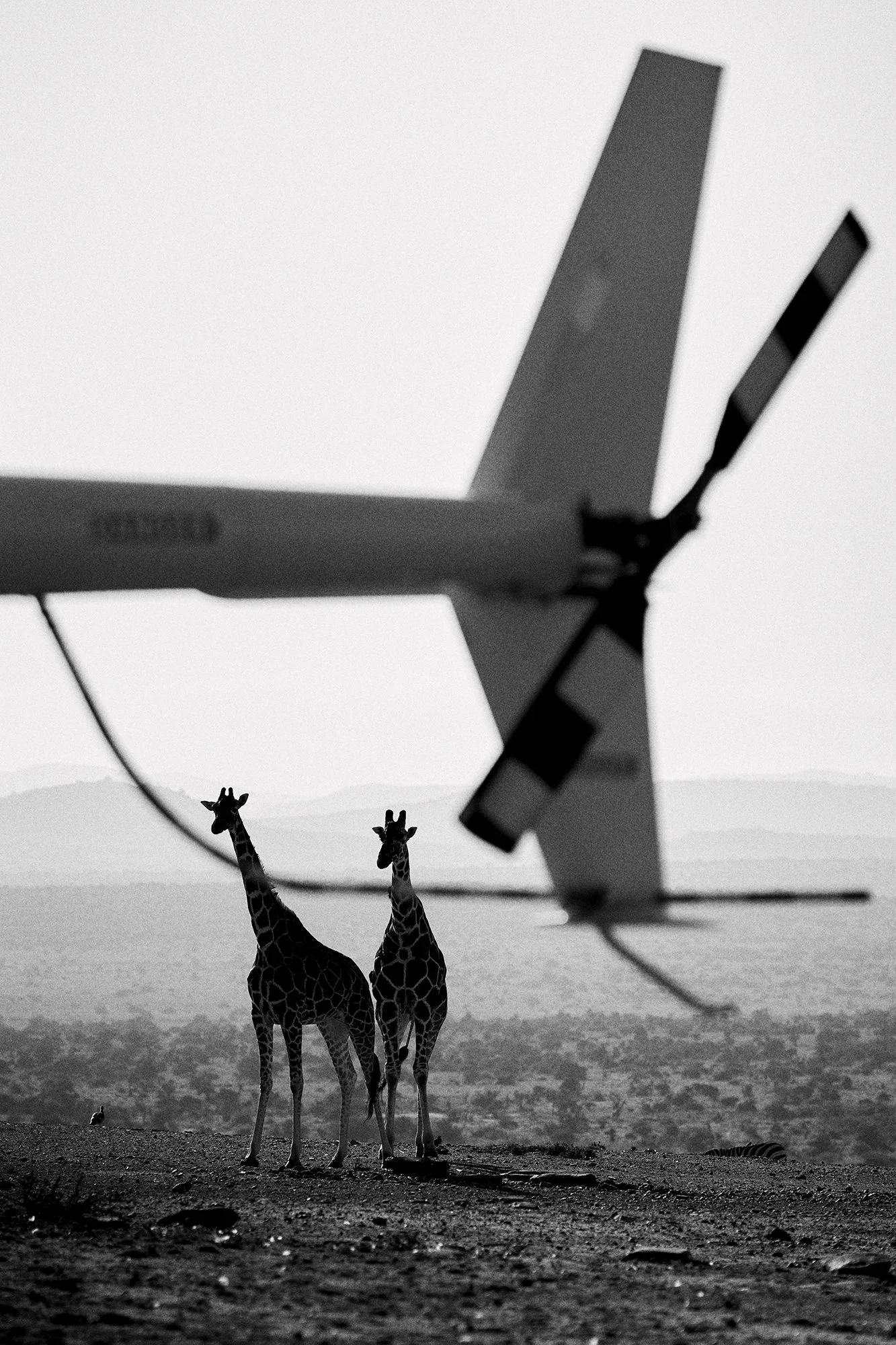 Ol Jogi_dmAFRICA_Oct2025_GibsonPhoto 156.jpg