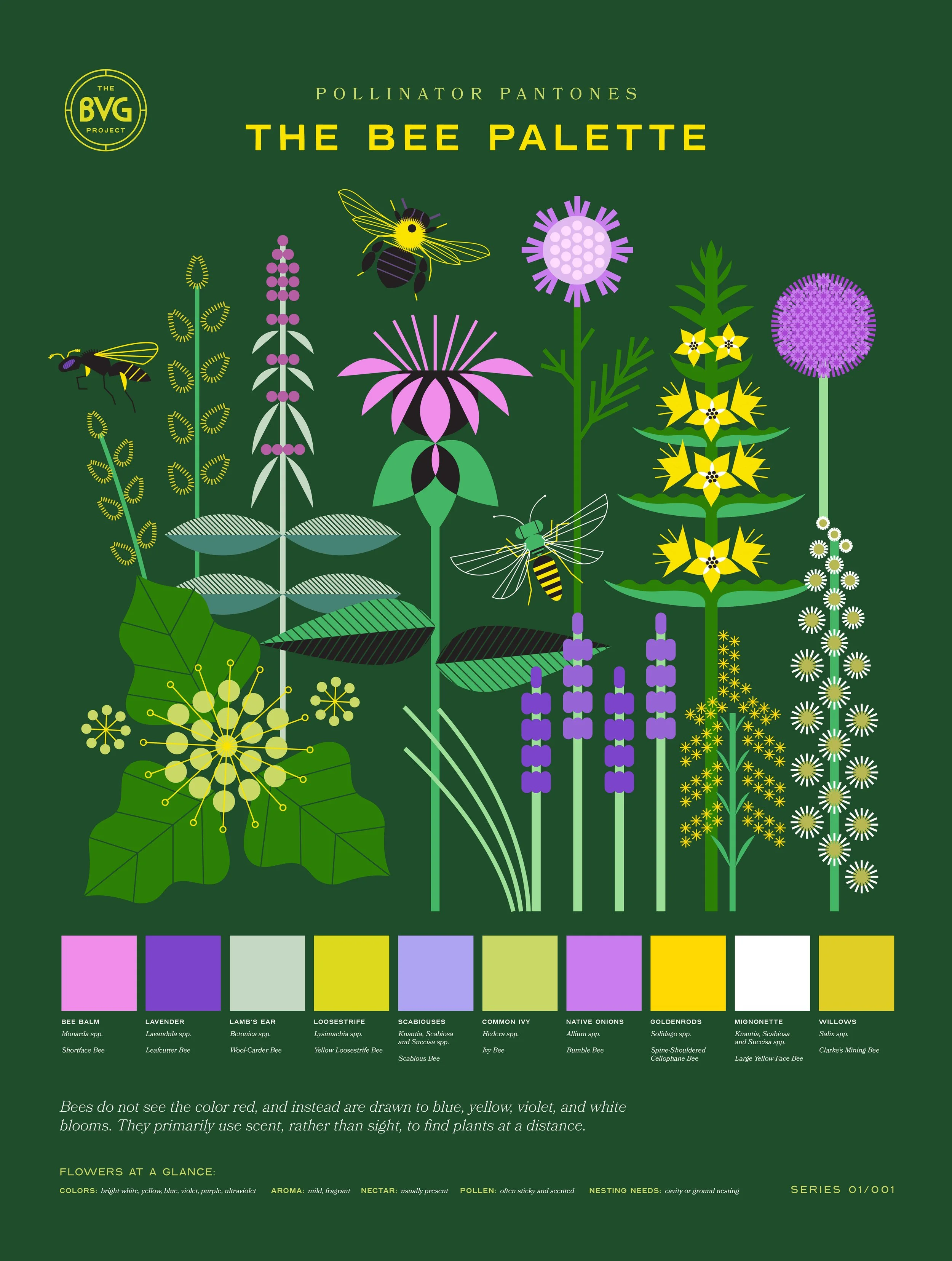 Butterfly Palette