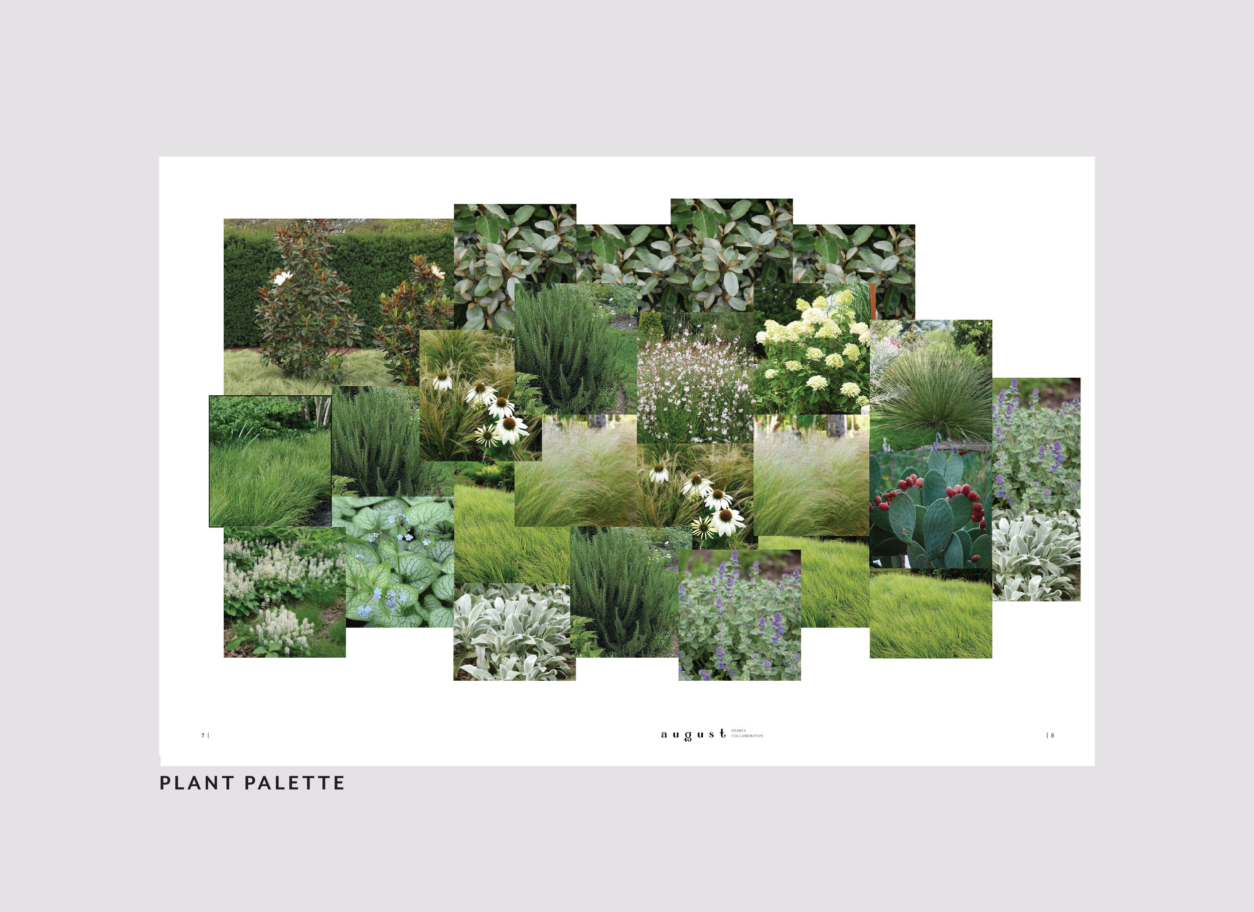 FRONT GARDEN REFRESH | Greensboro, NC