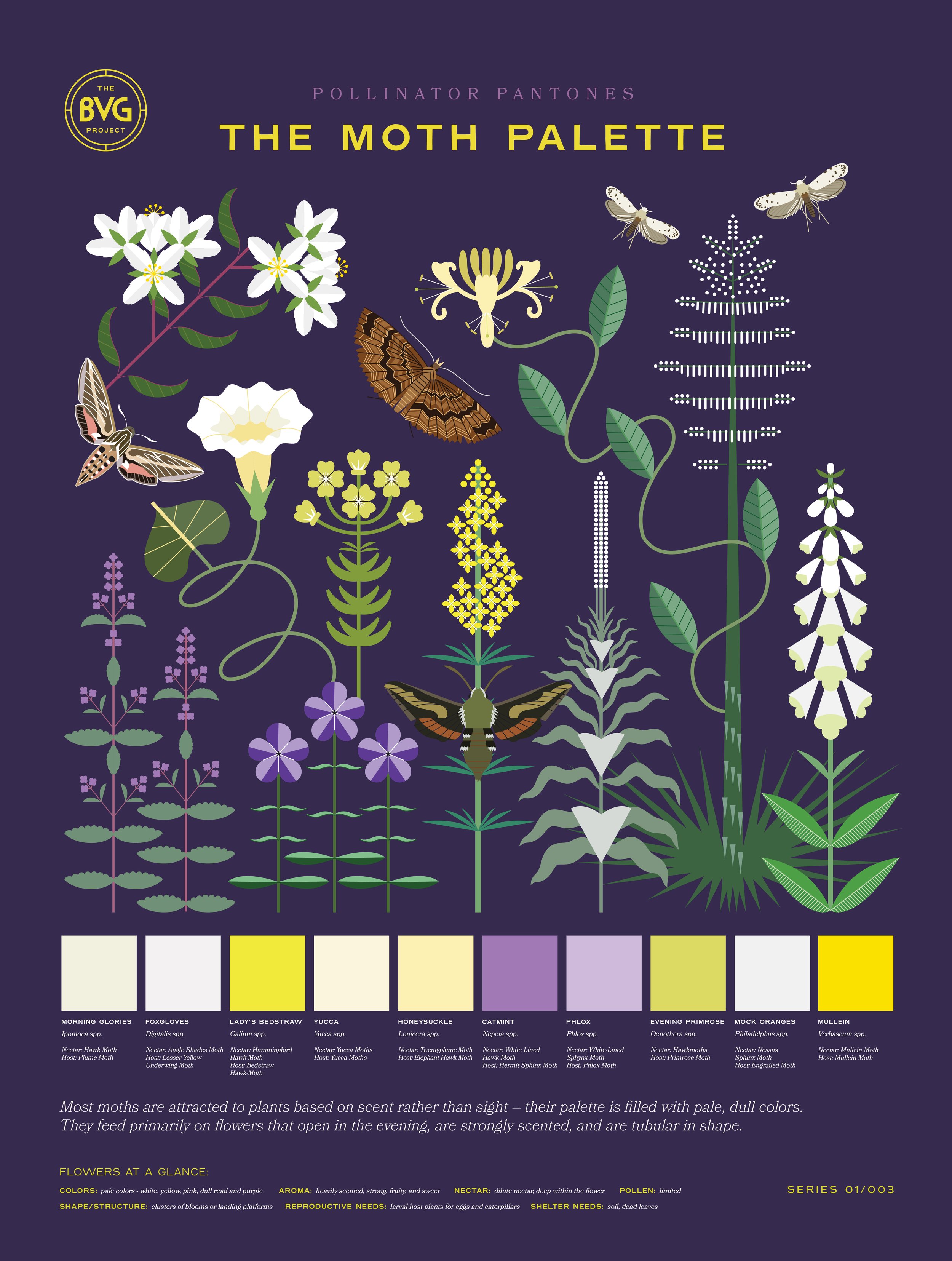 Moth Palette