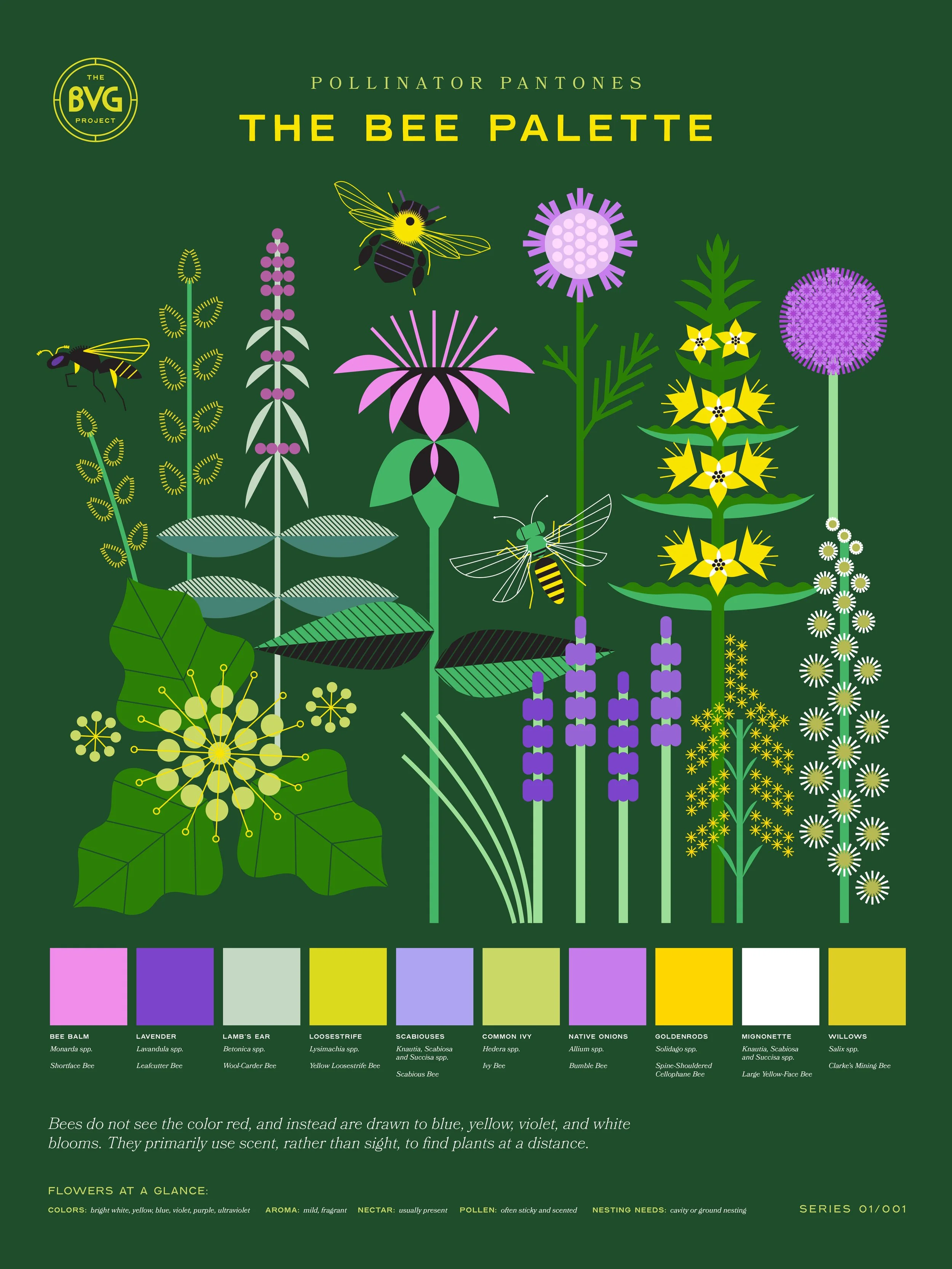 Bee Pollinator Poster 18 x 24 Web.jpg