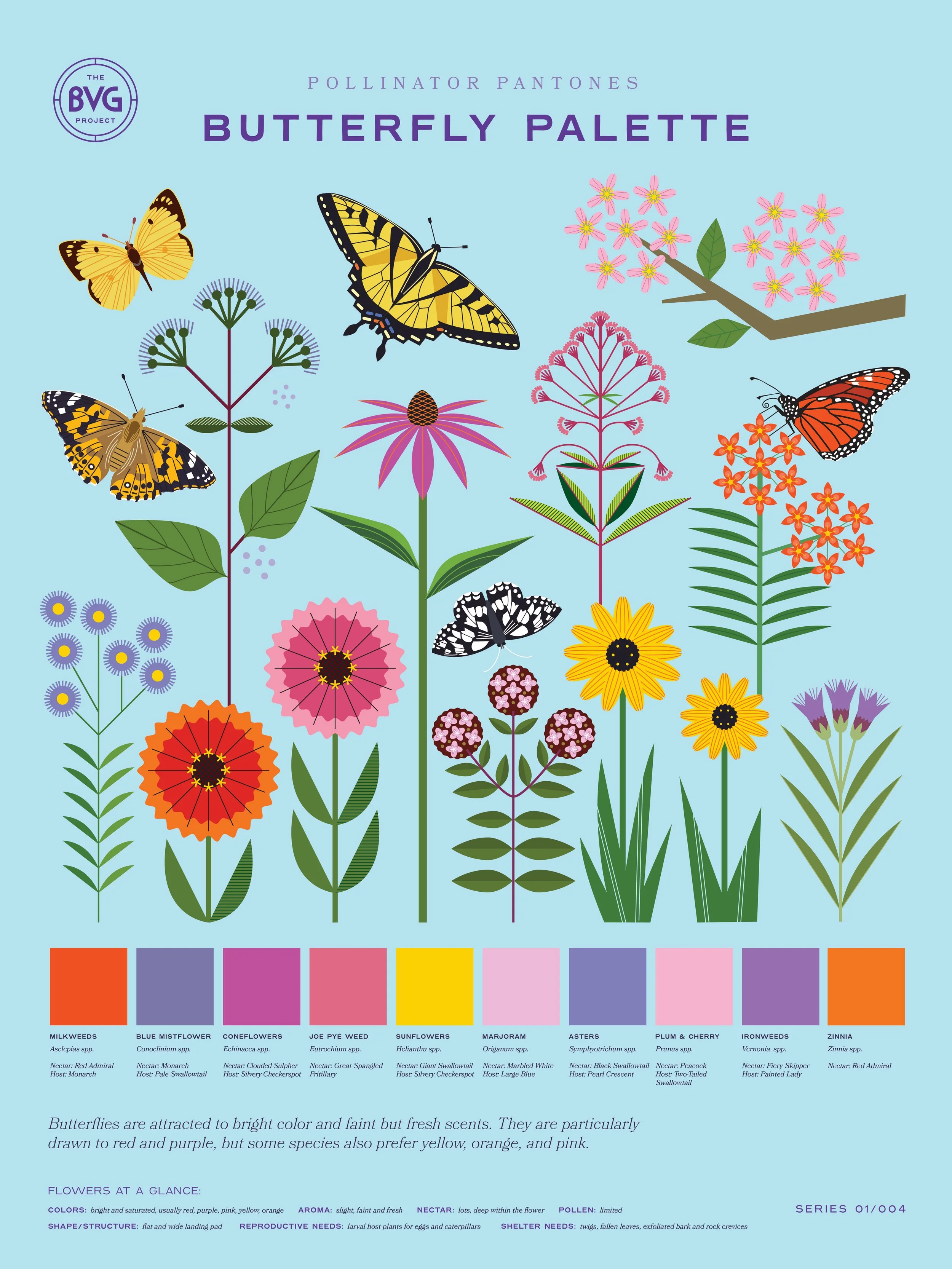 Butterfly Pollinator Pantones Poster_web.jpg