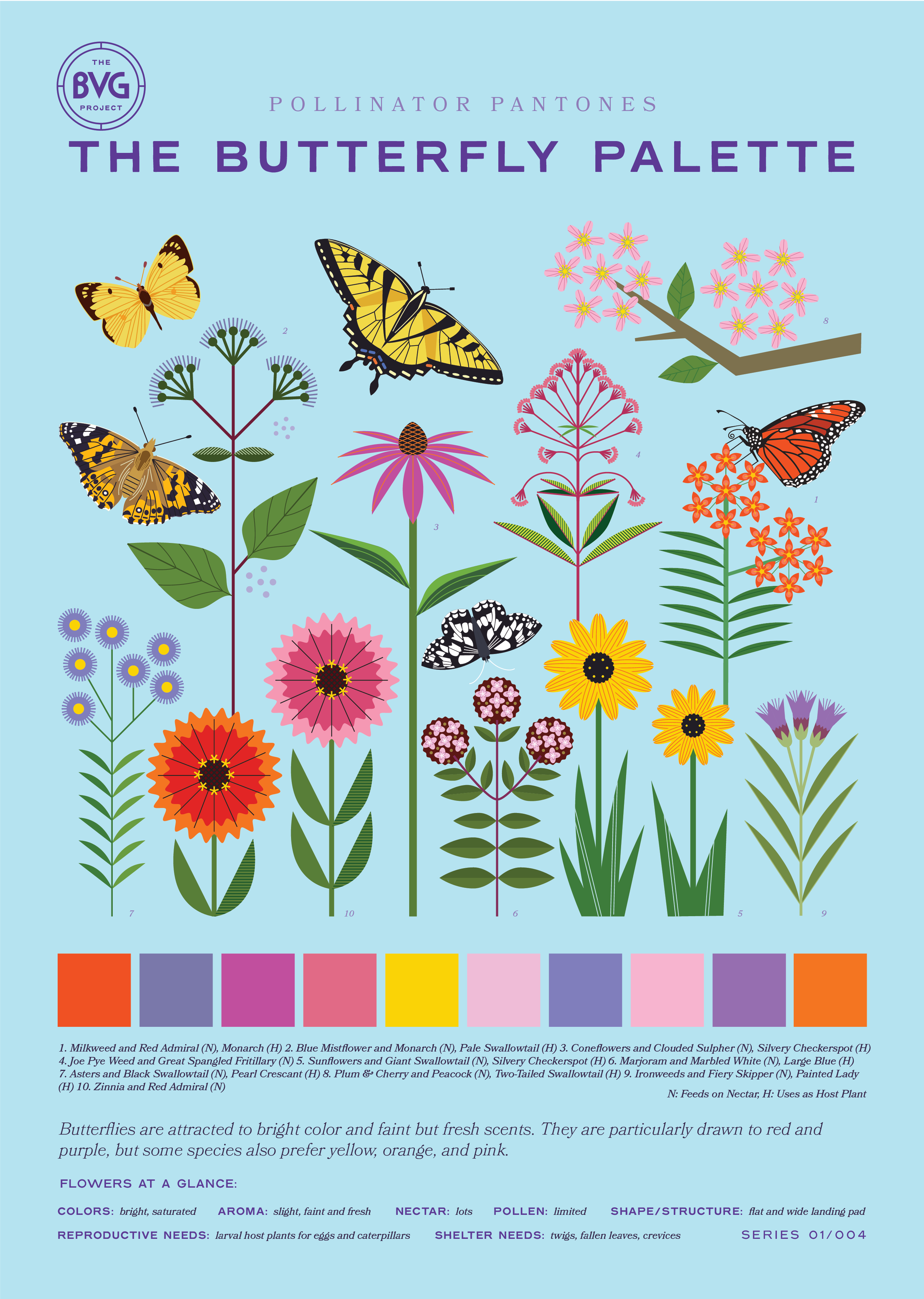 Butterfly A3 printify.png