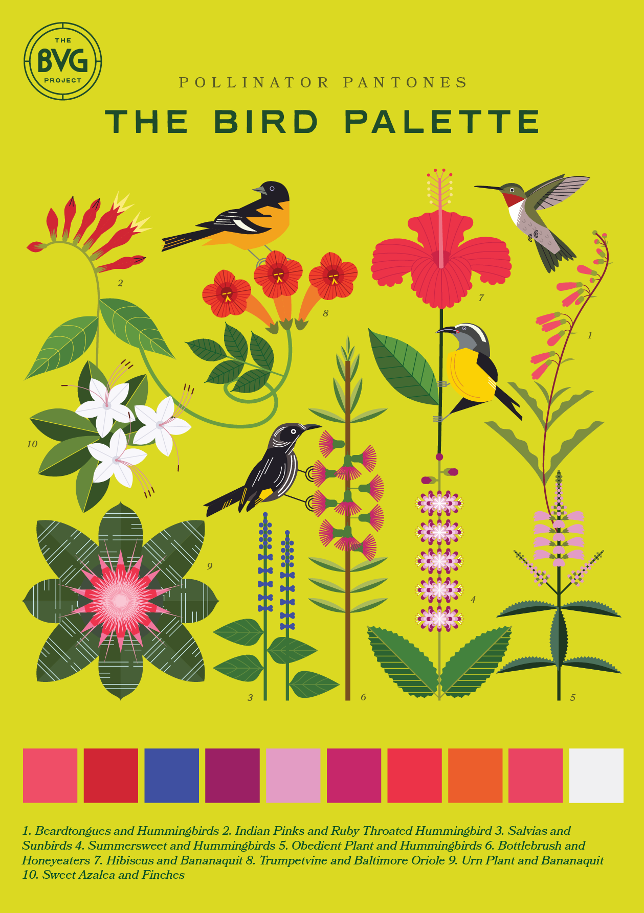 Bird A5.png