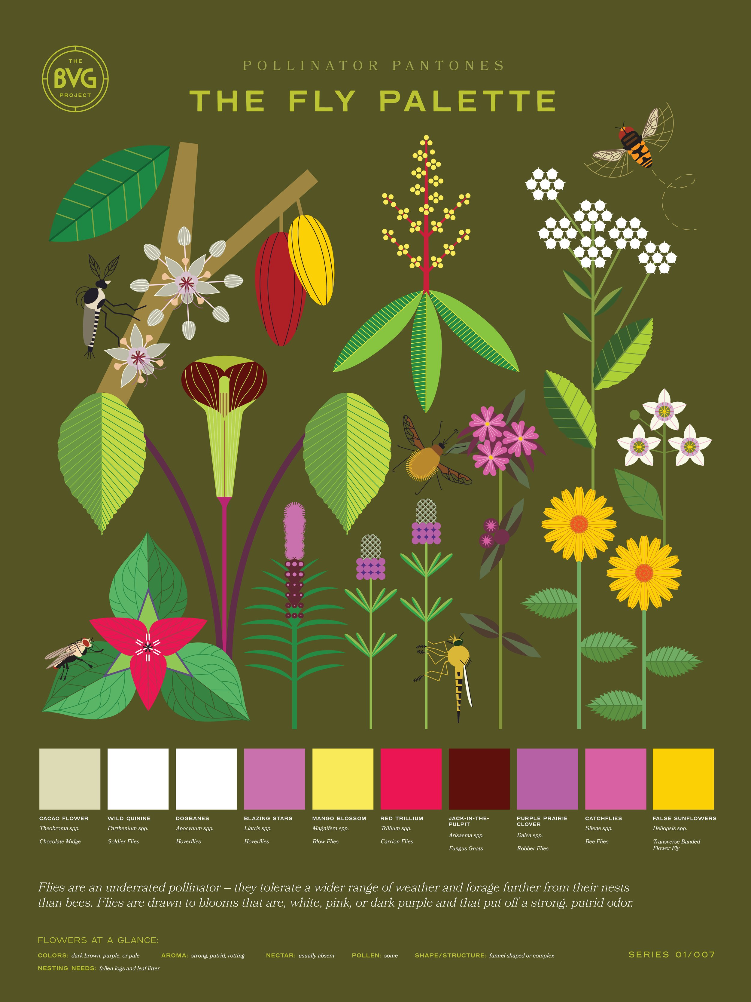 Fly Pantones Poster_web.jpg