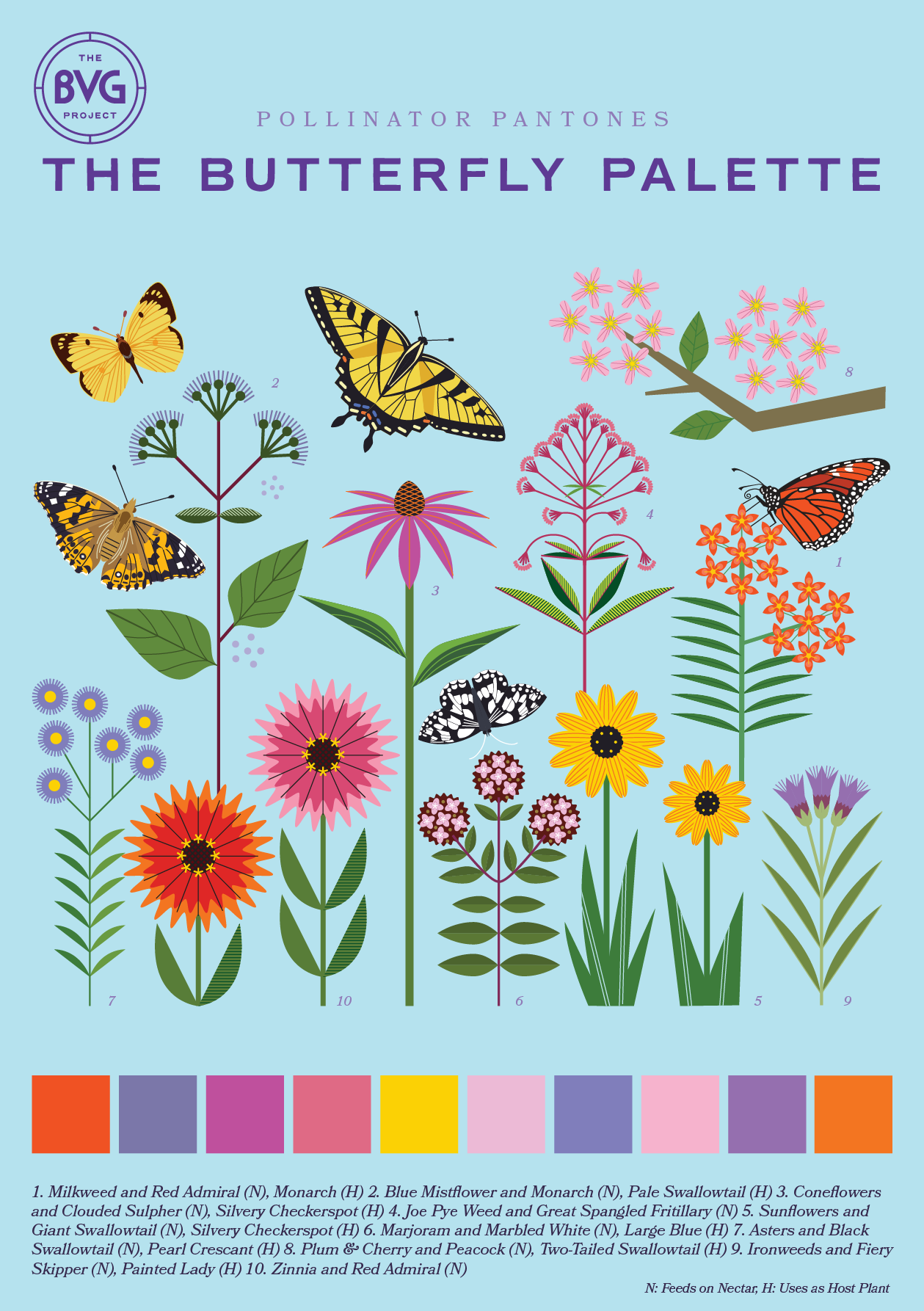Butterfly A5.png