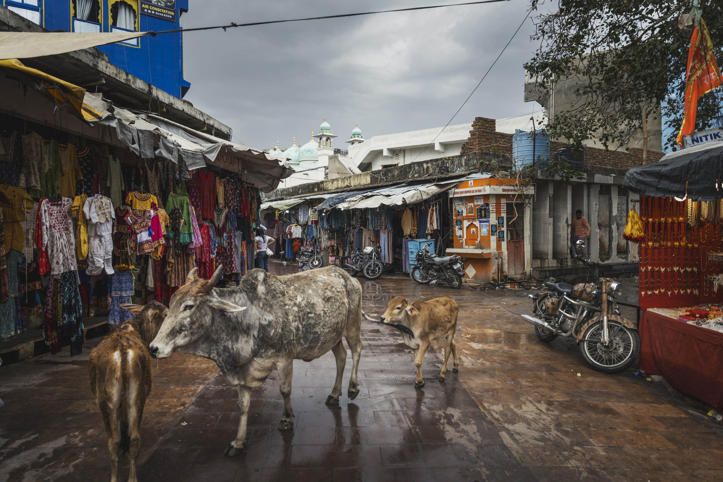 Pushkar market