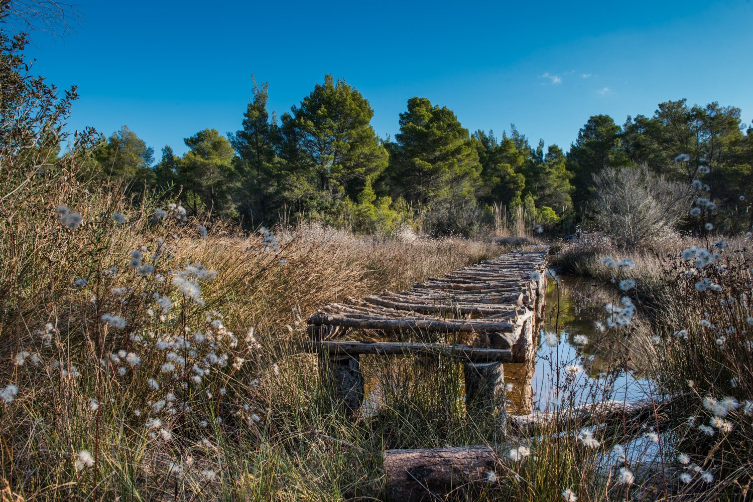 Lagoon of Divjakë