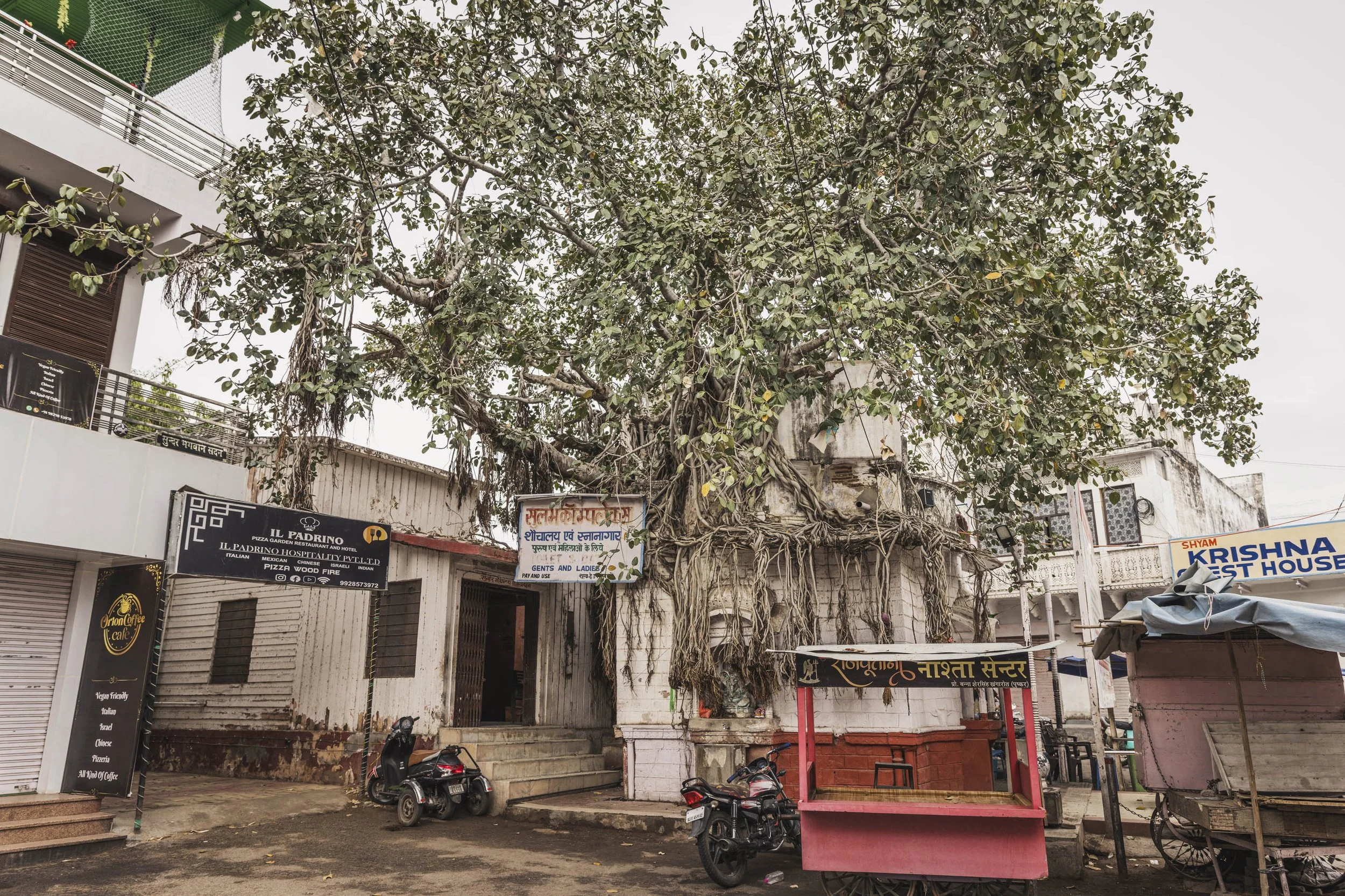 Pushkar
