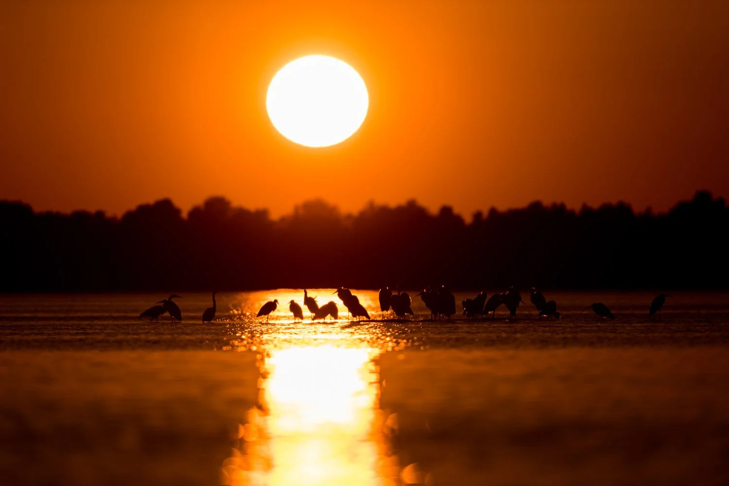 Sunset in Divjakë