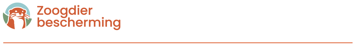 banner.png