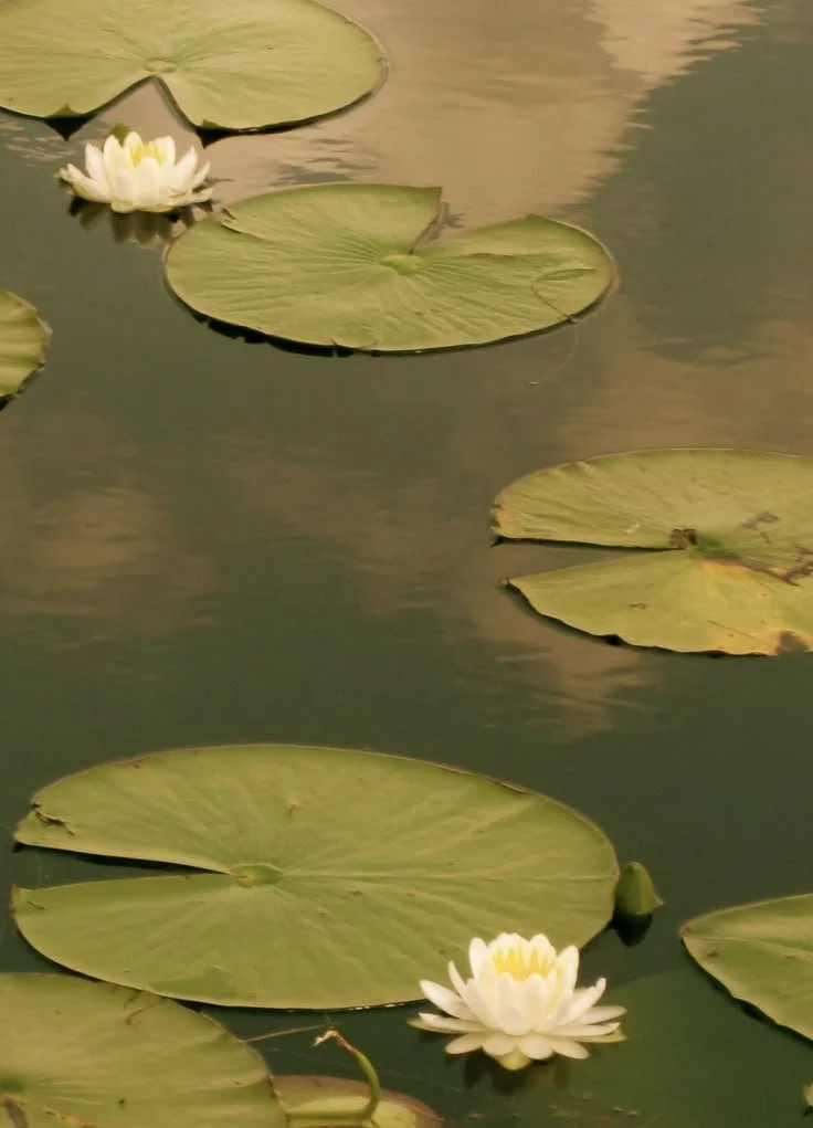 The Threshold — Mystic Minded, Issue 03