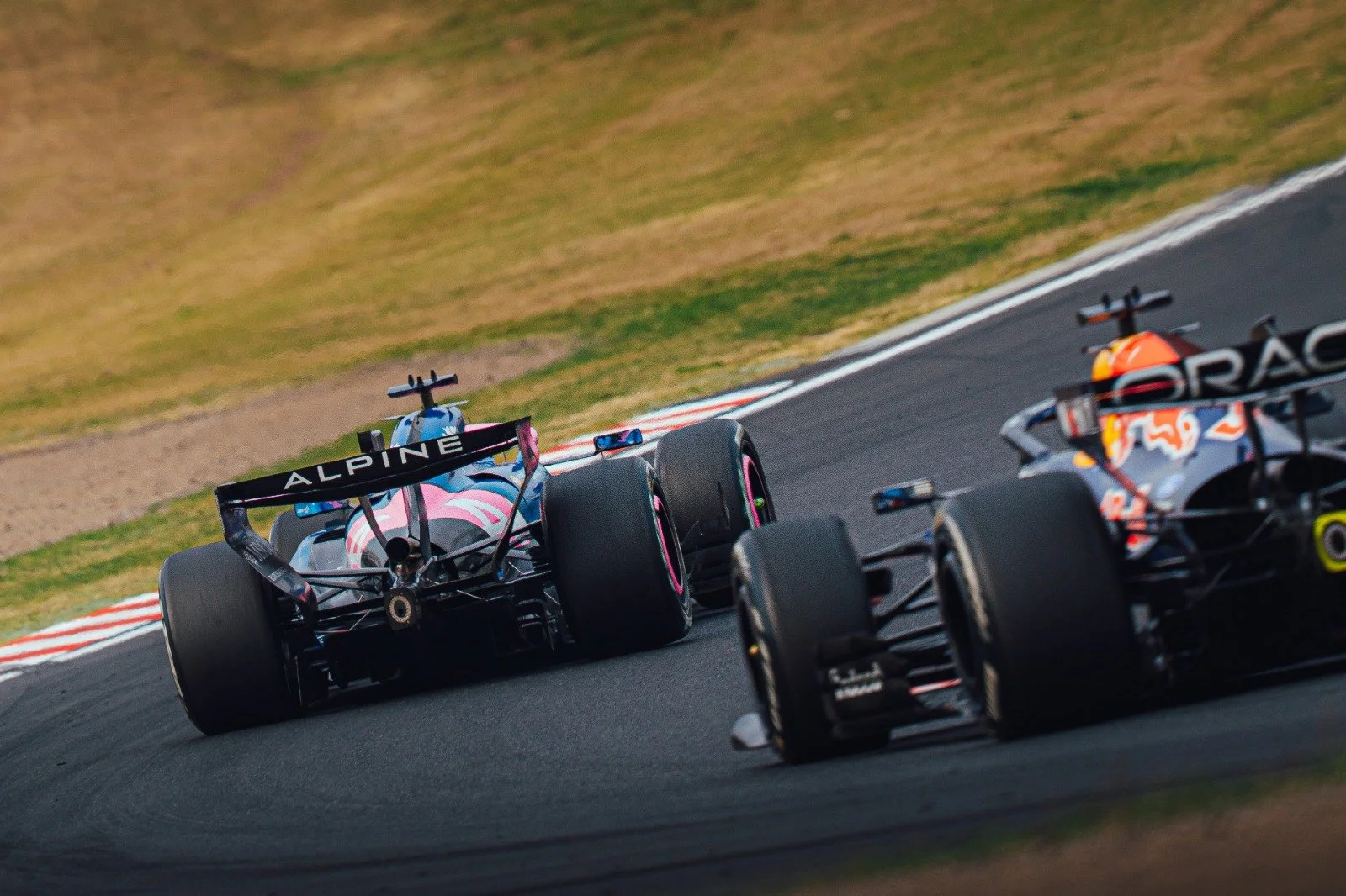 LEAD PHOTO-2026-03-29-09-30-59 (1).jpg