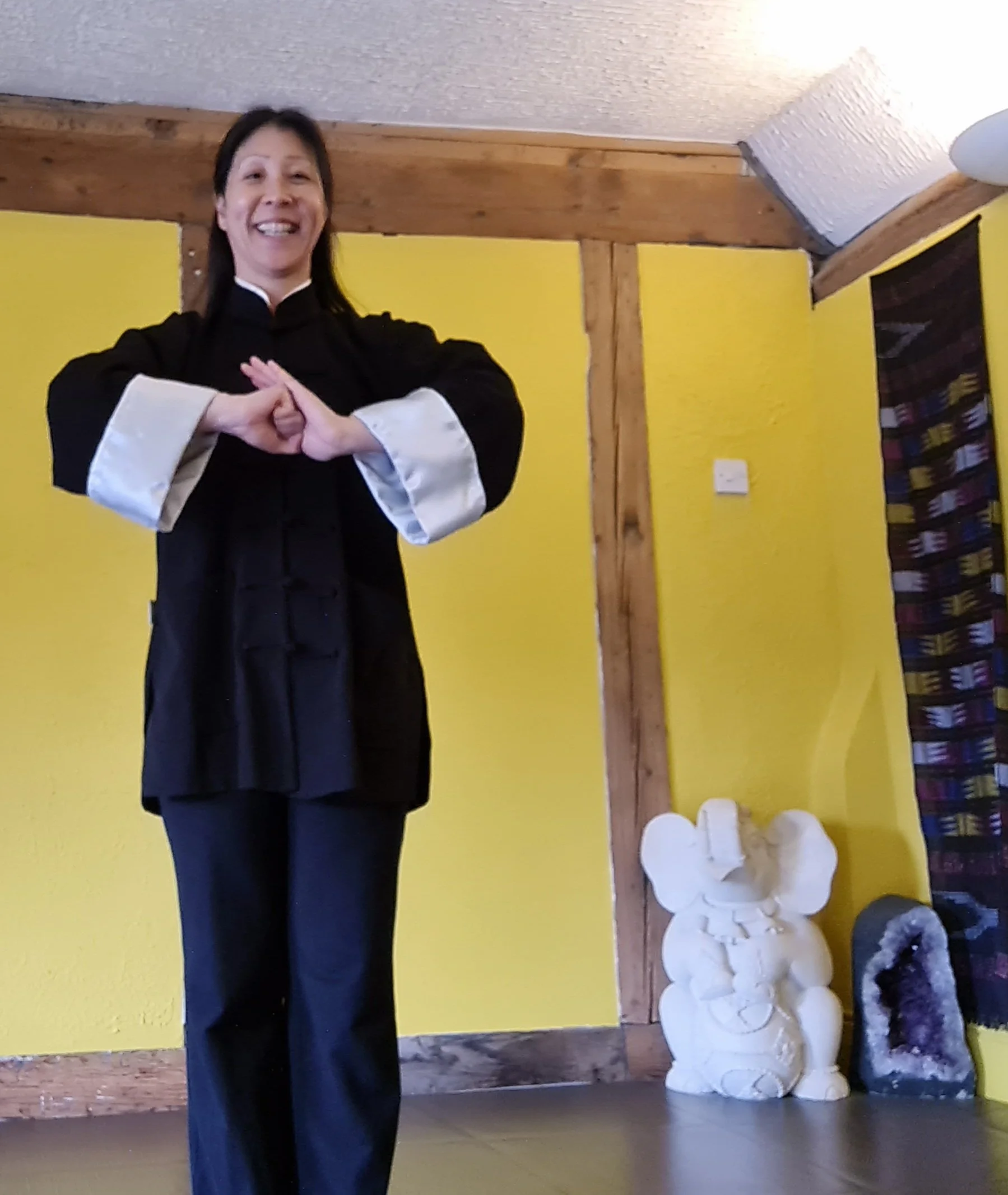 “Introduction to Sun Style Tai Chi”