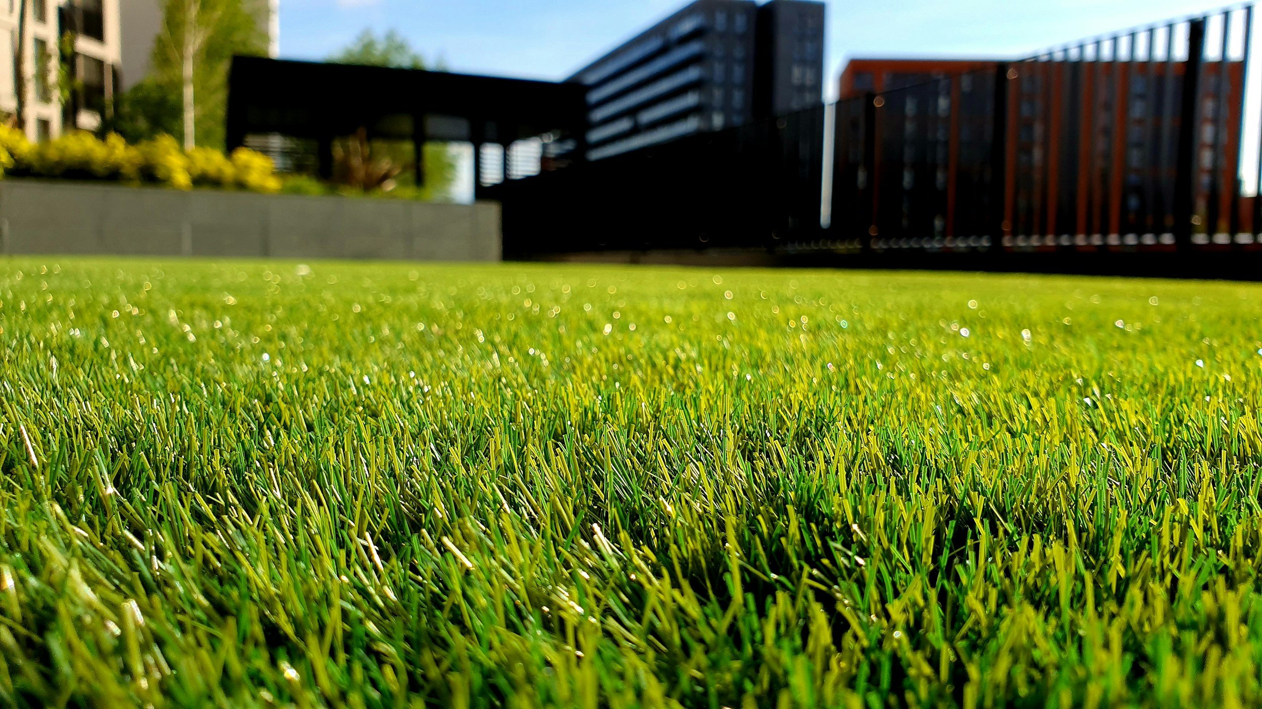 Spring Lawn Care
