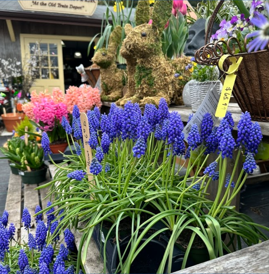 Screen Shot 2024-03-02 at 7.19.07 AM.png