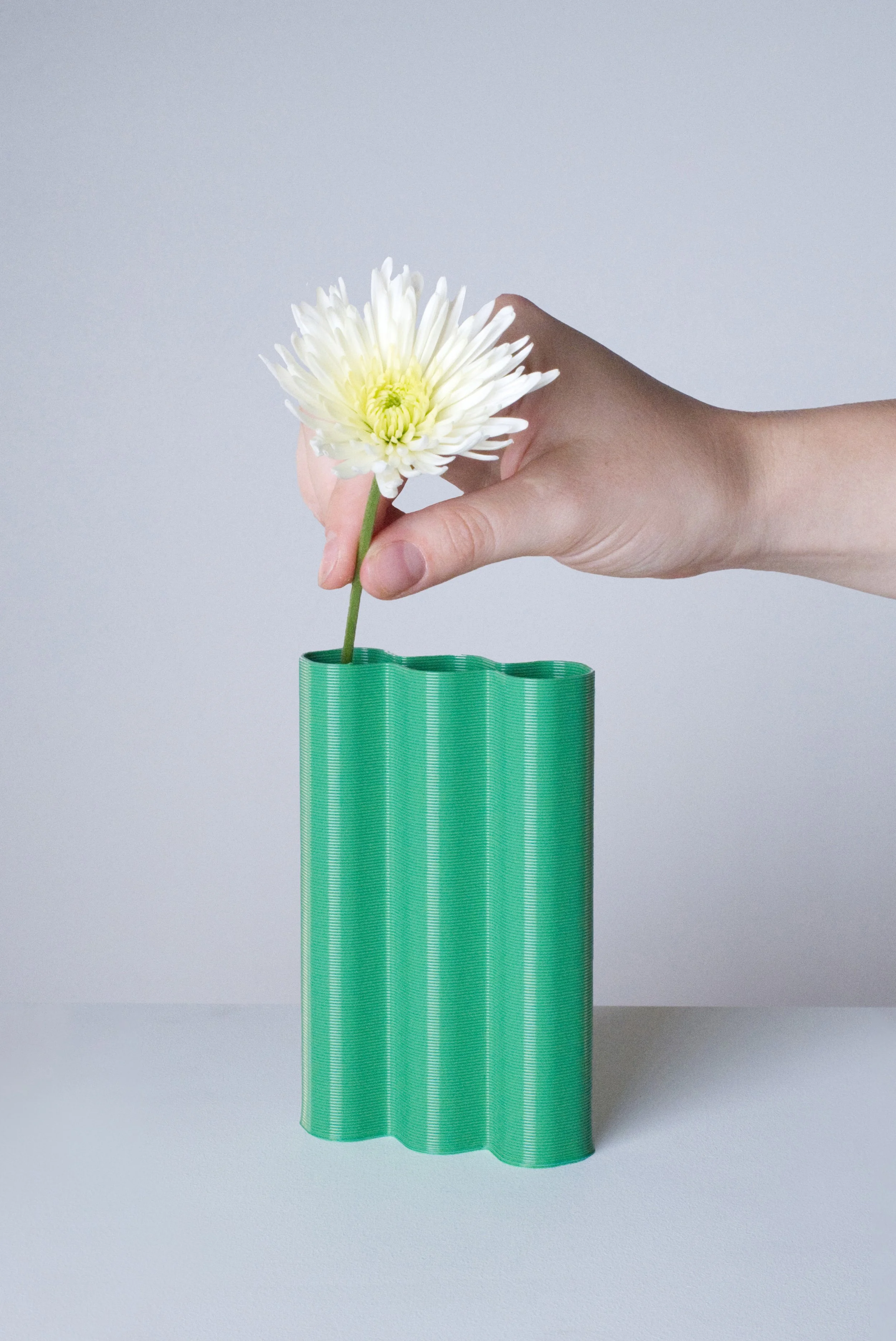 mini-L-vert-fleurs-fond.jpg