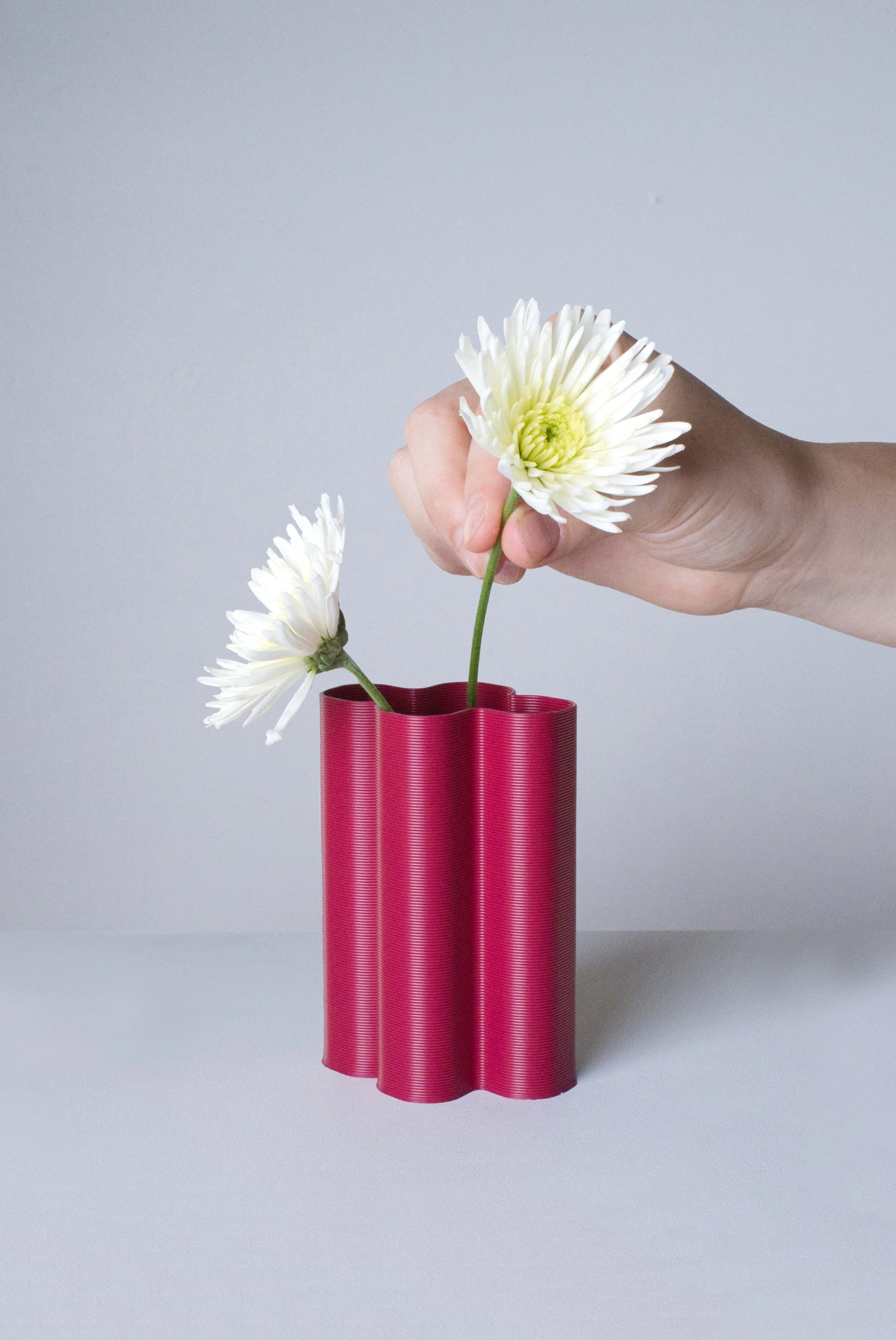 mini-vase-XL-prune-fleurs-fond.jpg