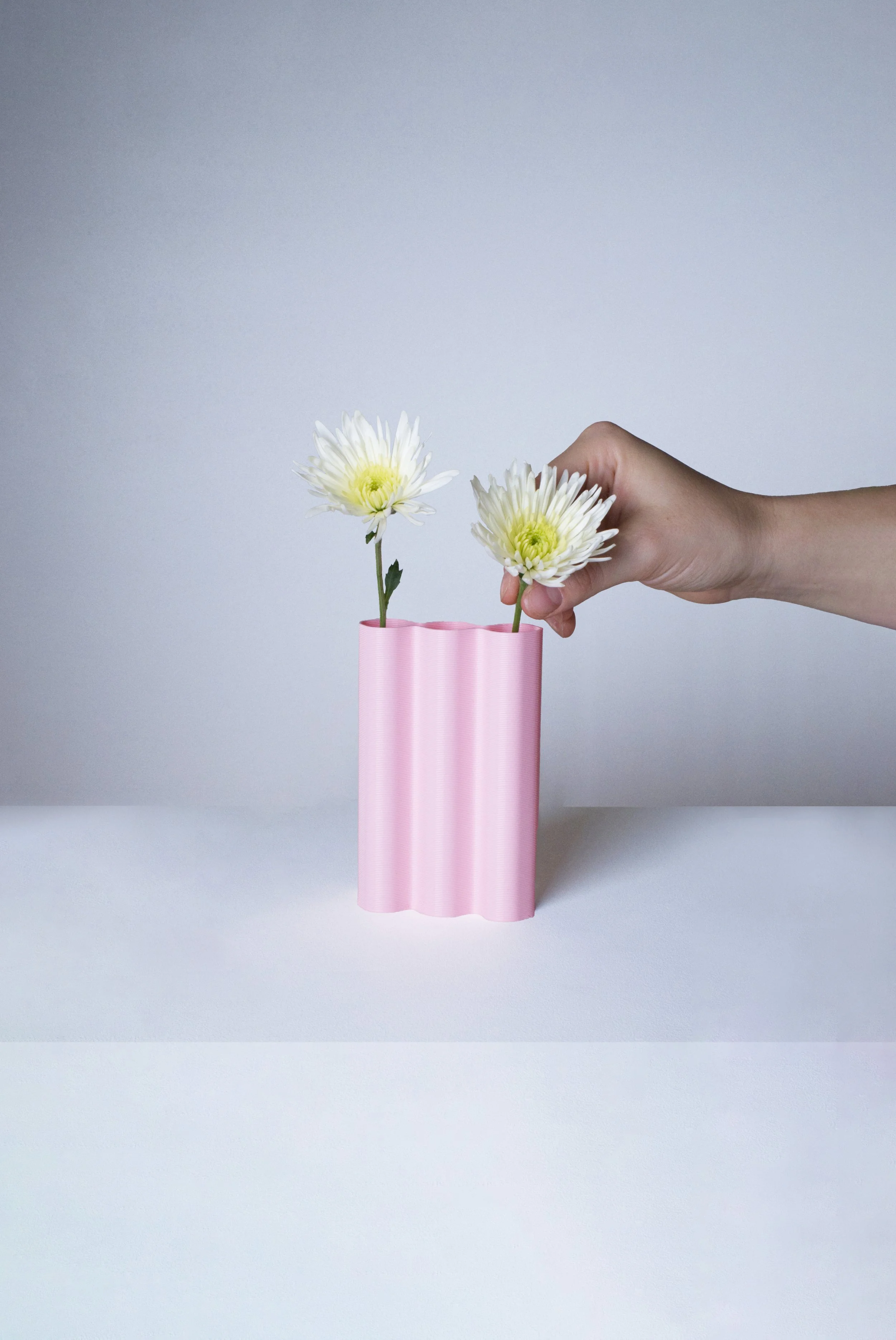 mini-L-rose-fleurs-fond.jpg