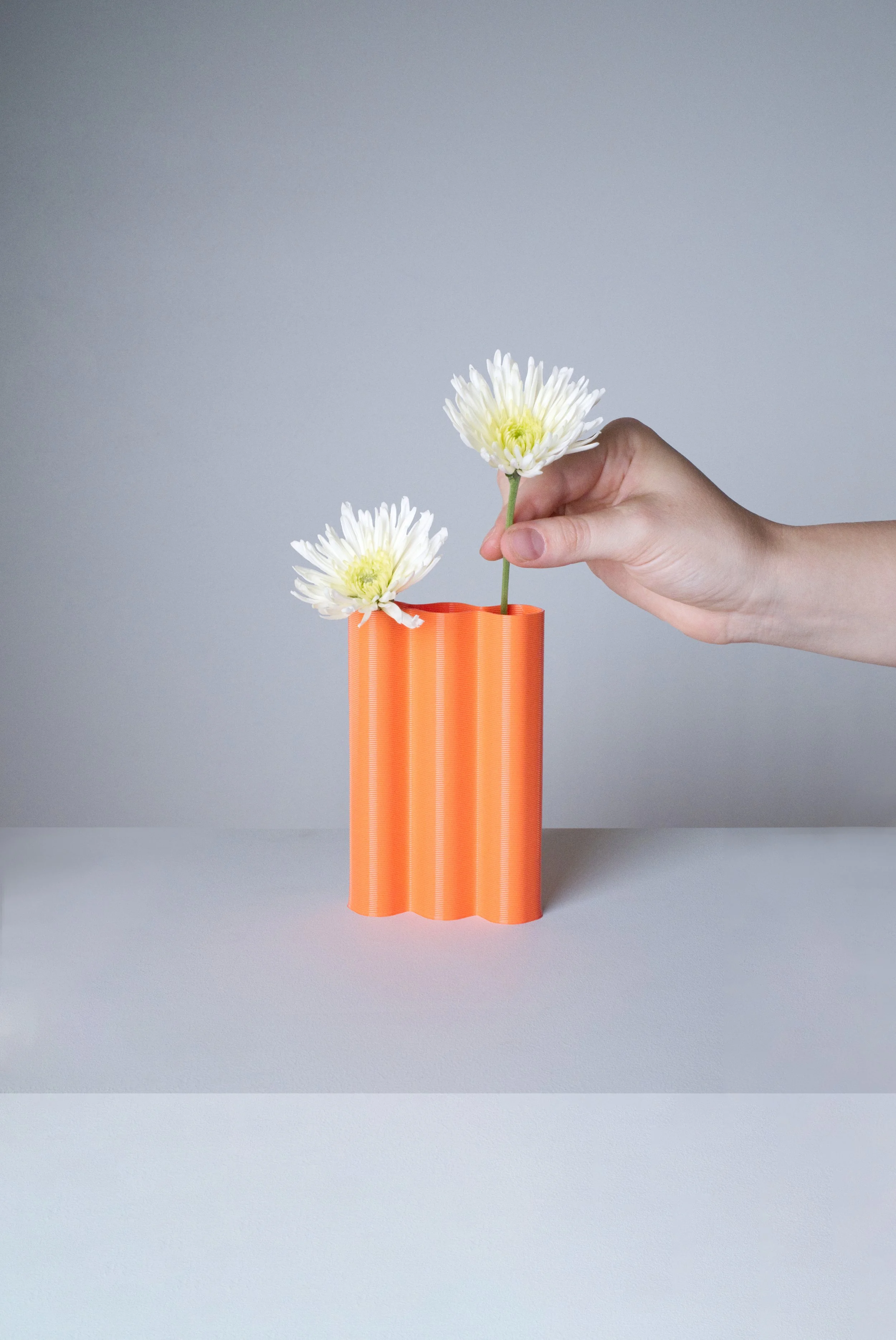 mini-L-orange-fleurs-fond.jpg