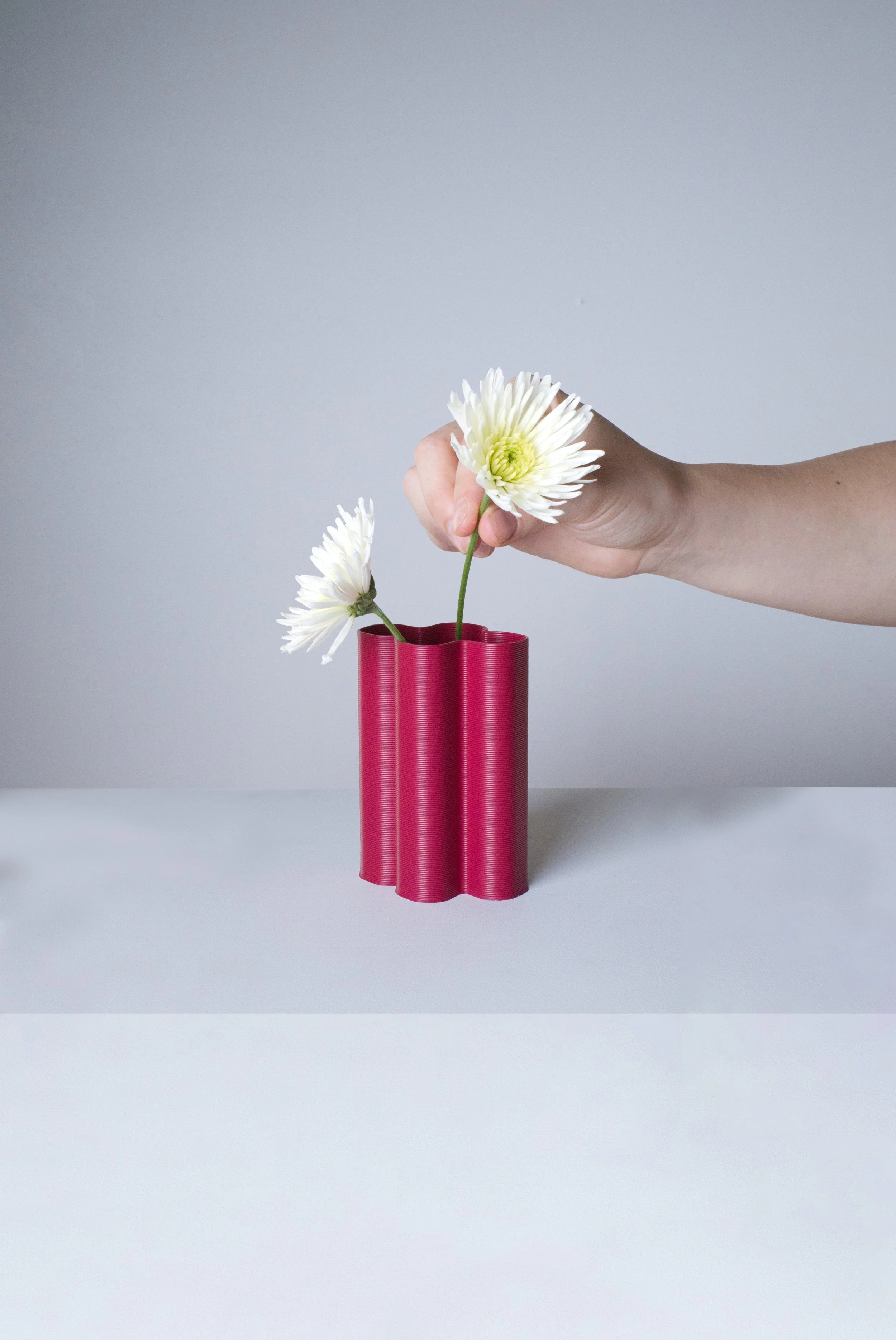 mini-vase-XL-prune-fleurs-fond.jpg