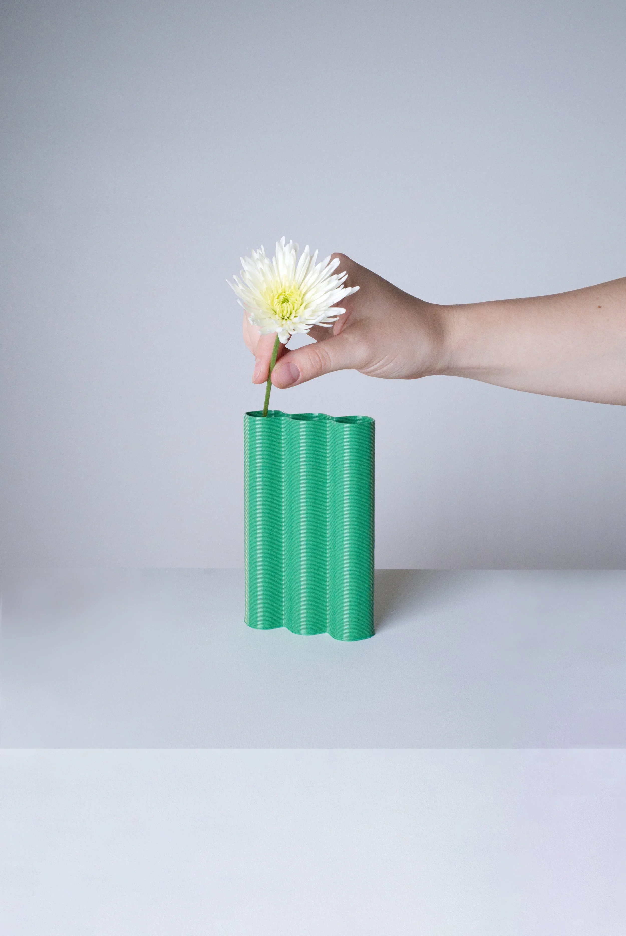 mini-L-vert-fleurs-fond.jpg