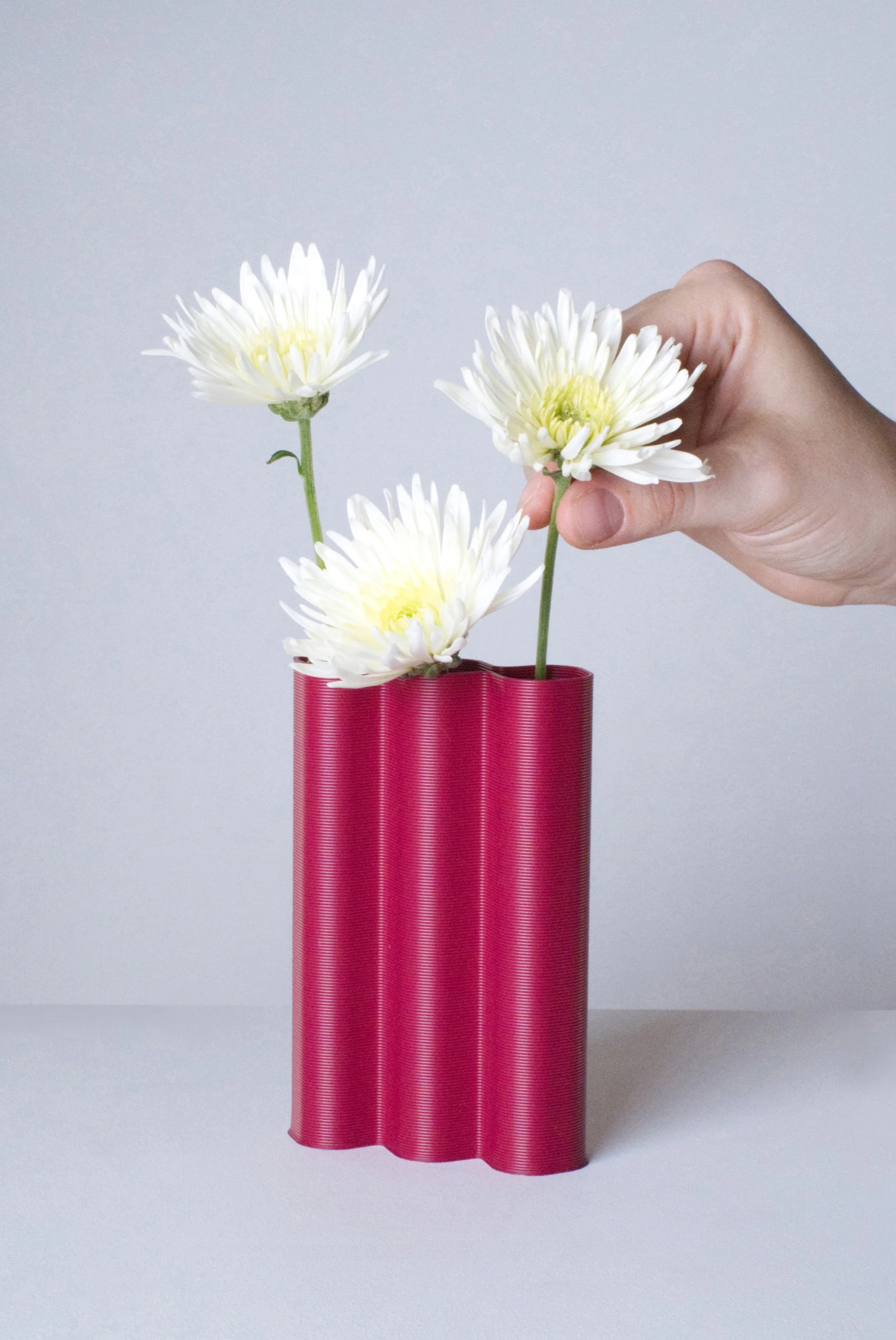 mini-L-prune-fleurs-fond.jpg