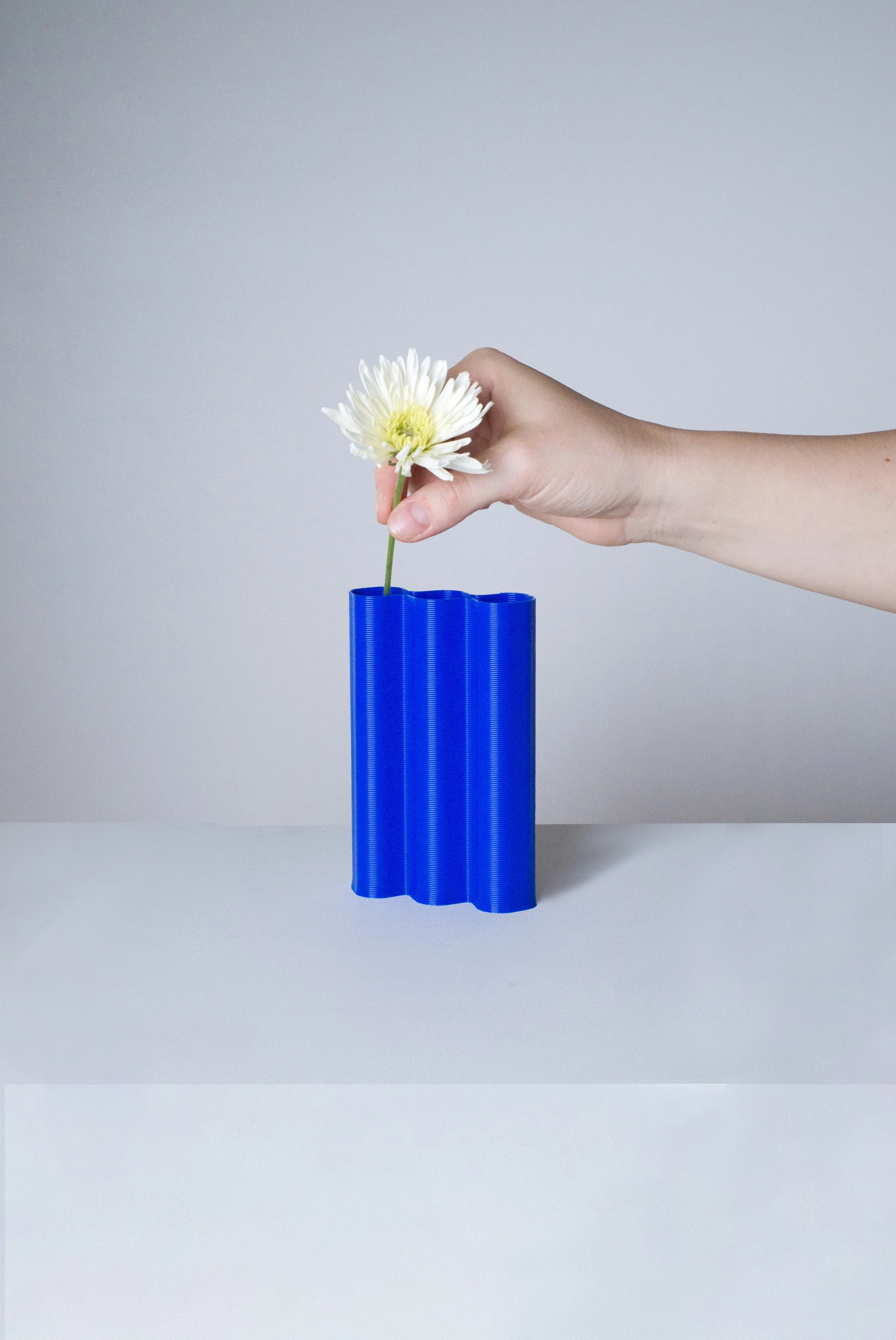 mini-L-bleu-fleurs-fond.jpg