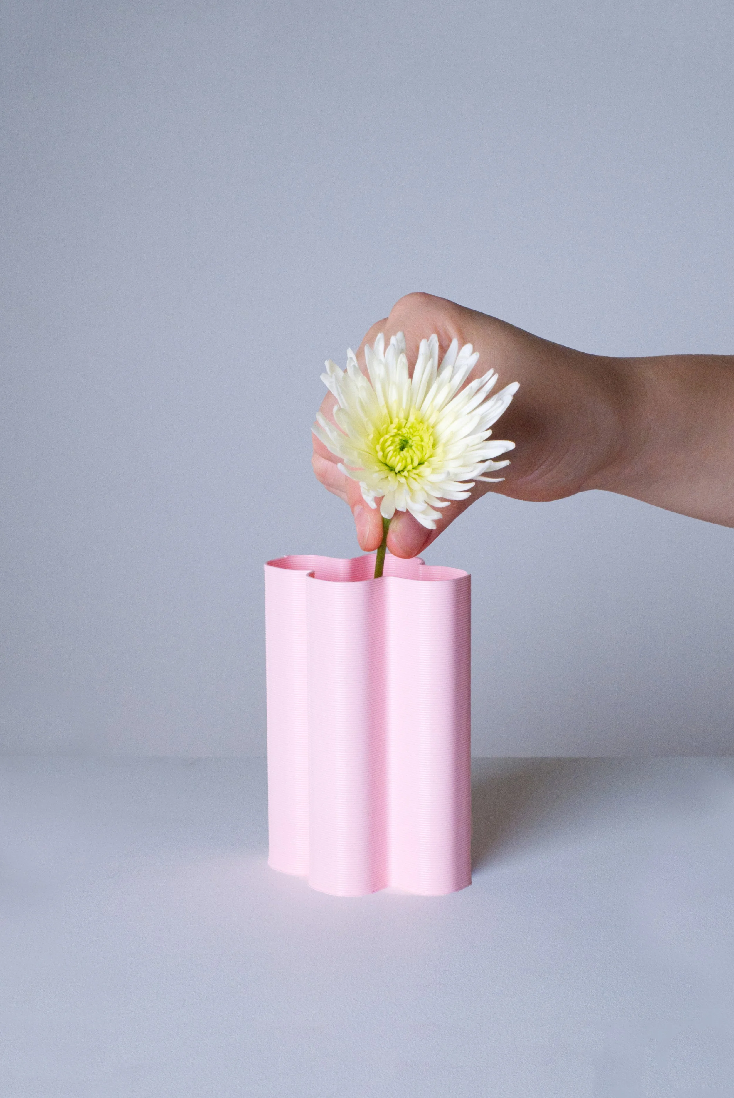 mini-vase-XL-rose-fleurs-fond.jpg