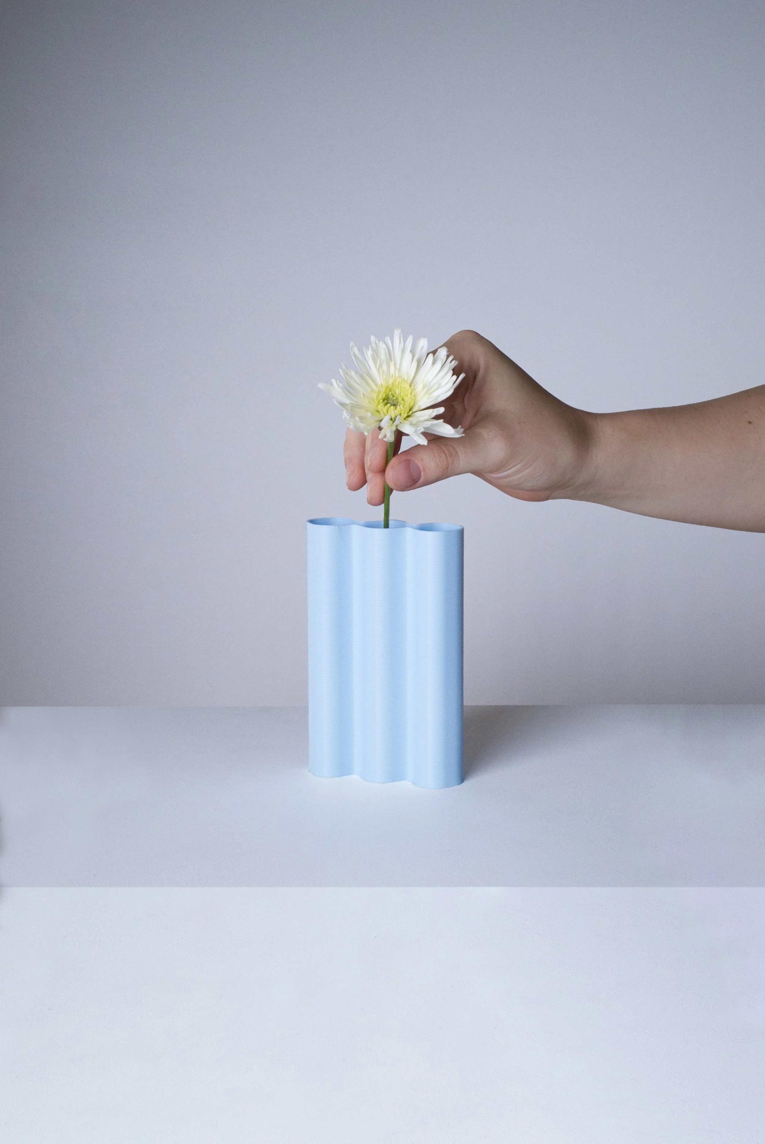 mini-L-bleu-ciel_fleurs-fond.jpg