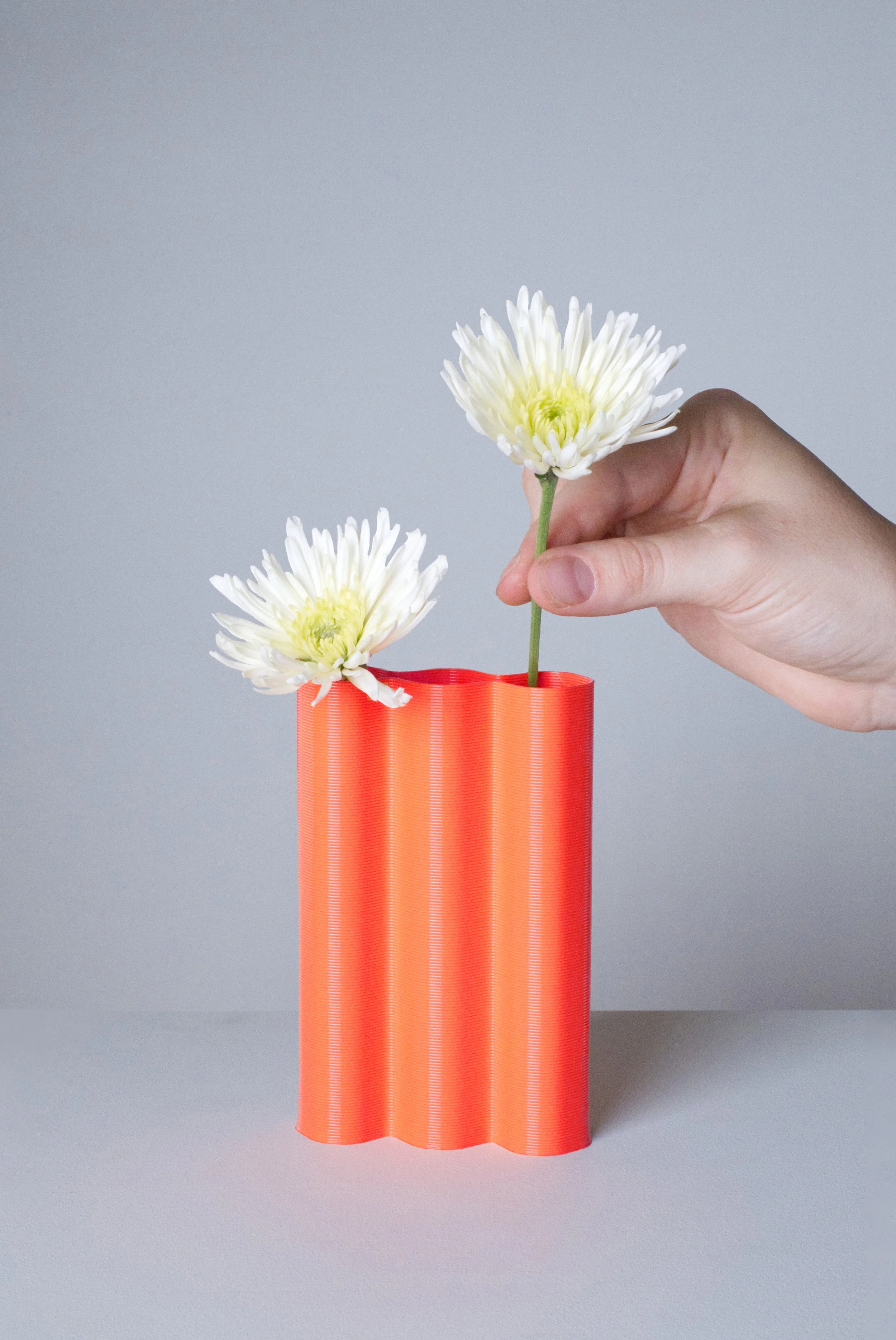 mini-L-orange-fleurs-fond.jpg