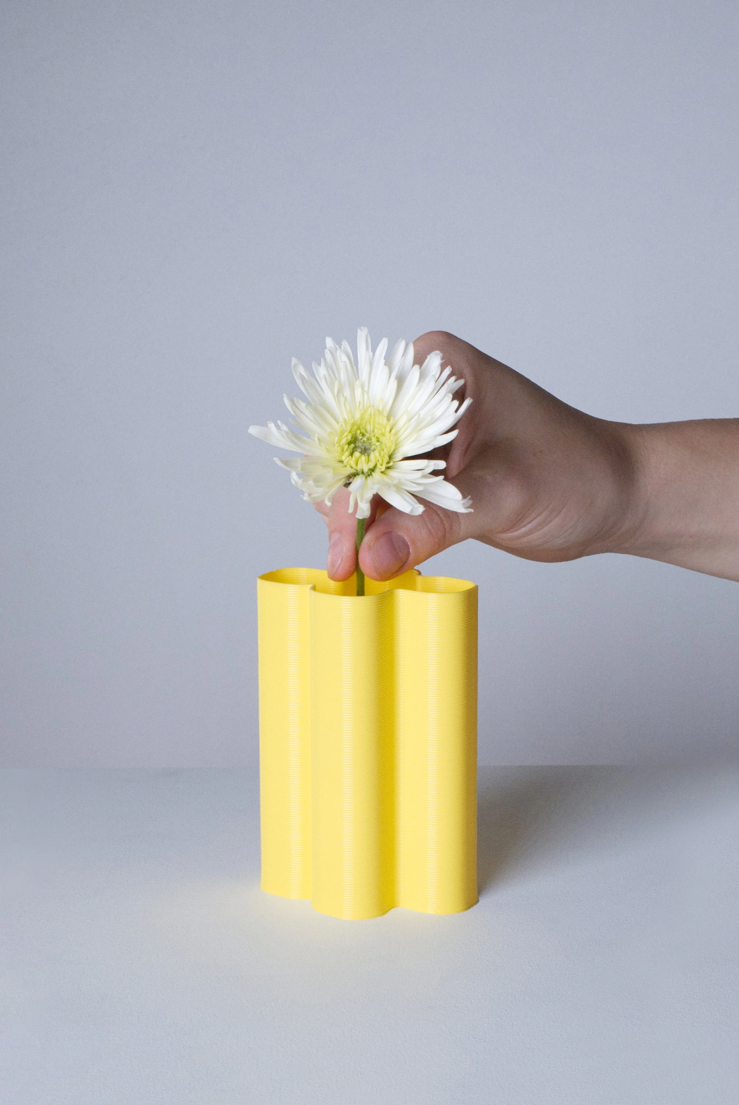 mini-vase-XL-jaune-fleurs-fond.jpg