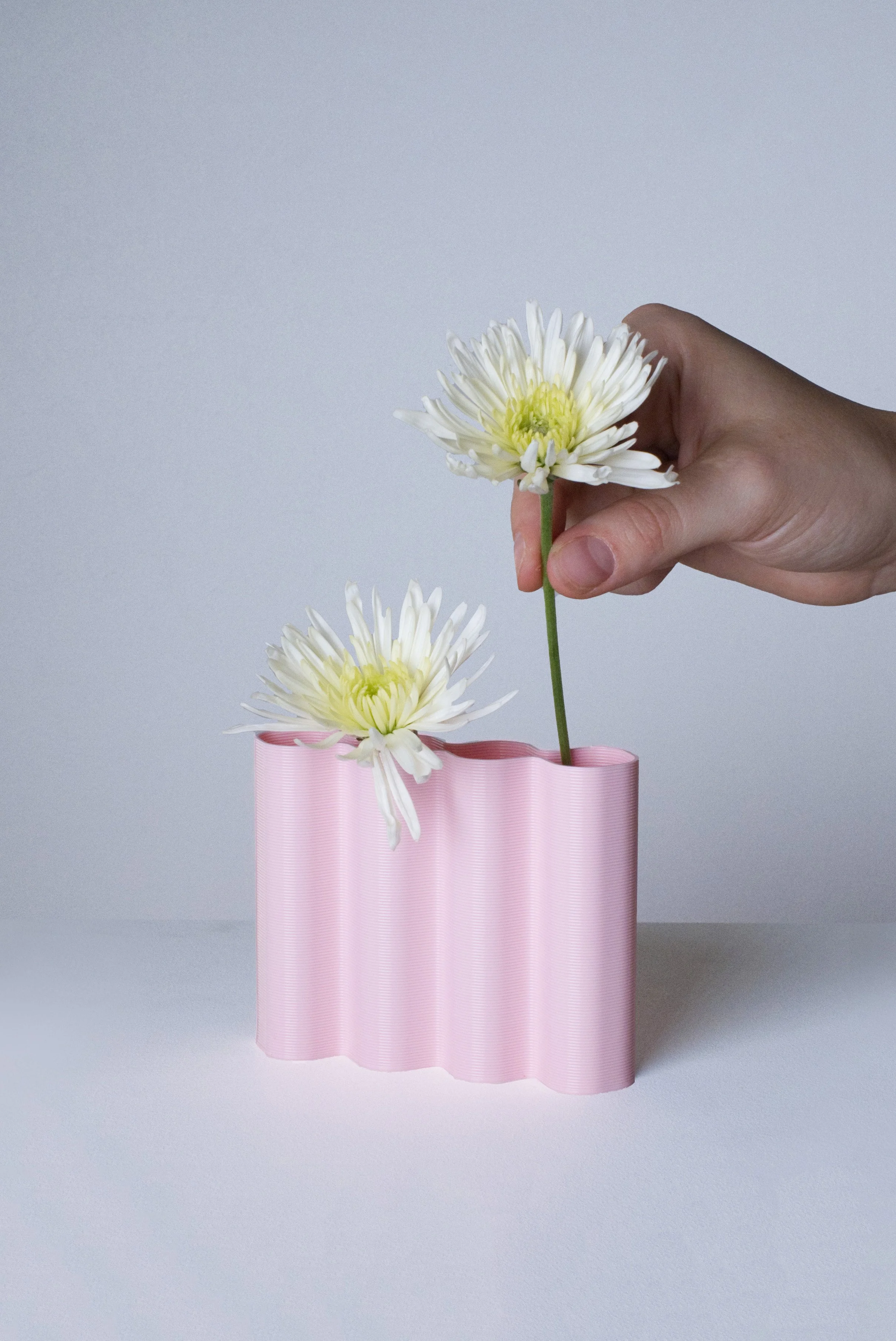 mini-vase-M-rose-fleurs-fond.jpg