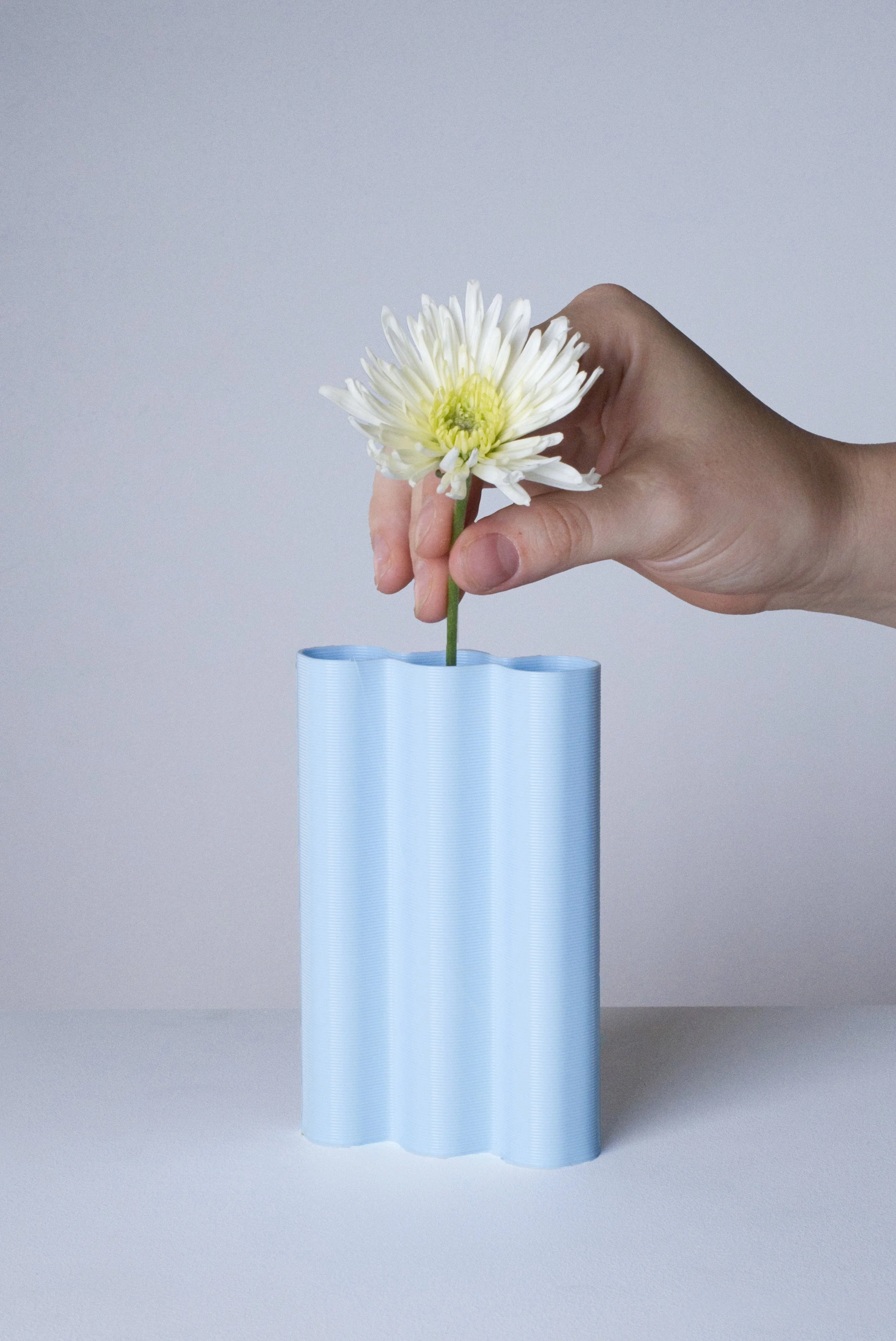 mini-L-bleu-ciel_fleurs-fond.jpg