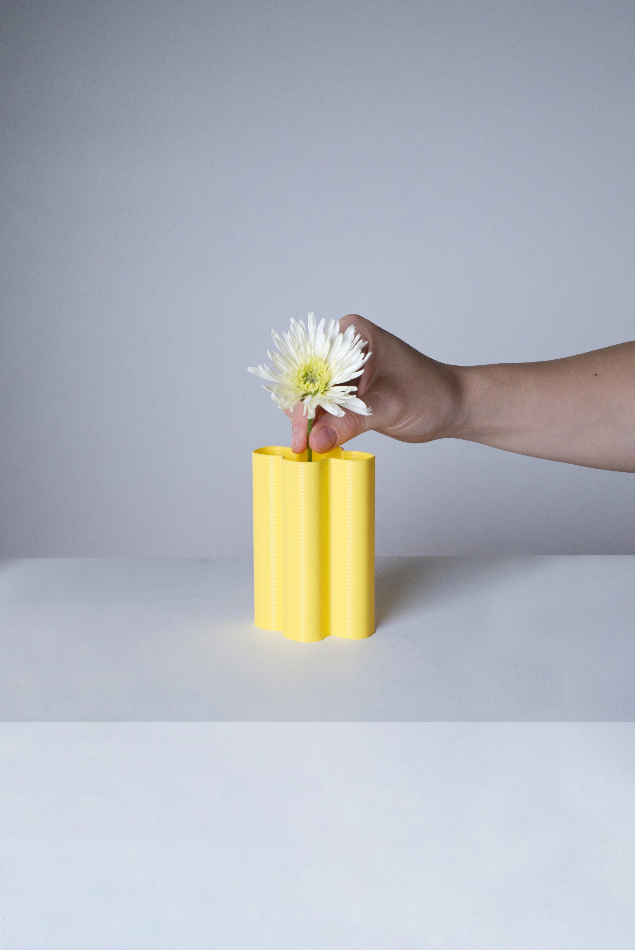 mini-vase-XL-jaune-fleurs-fond.jpg