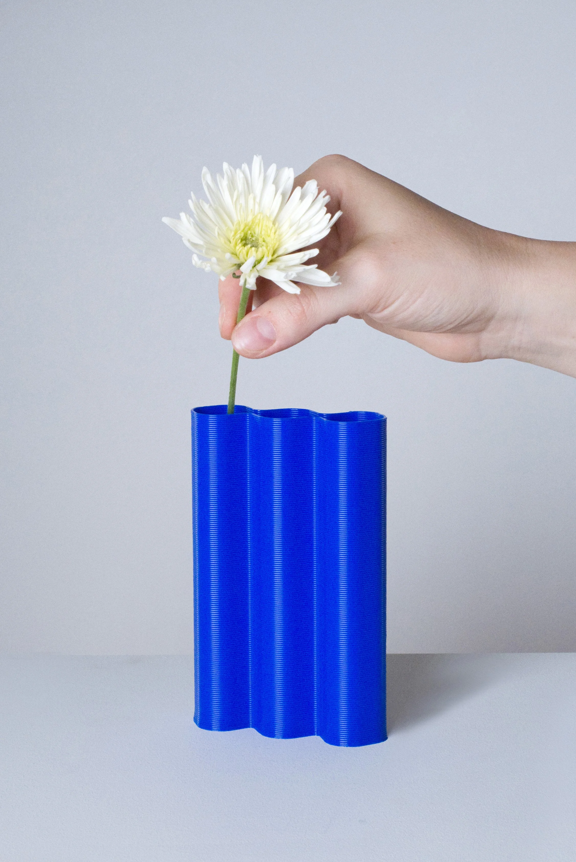 mini-L-bleu-fleurs-fond.jpg