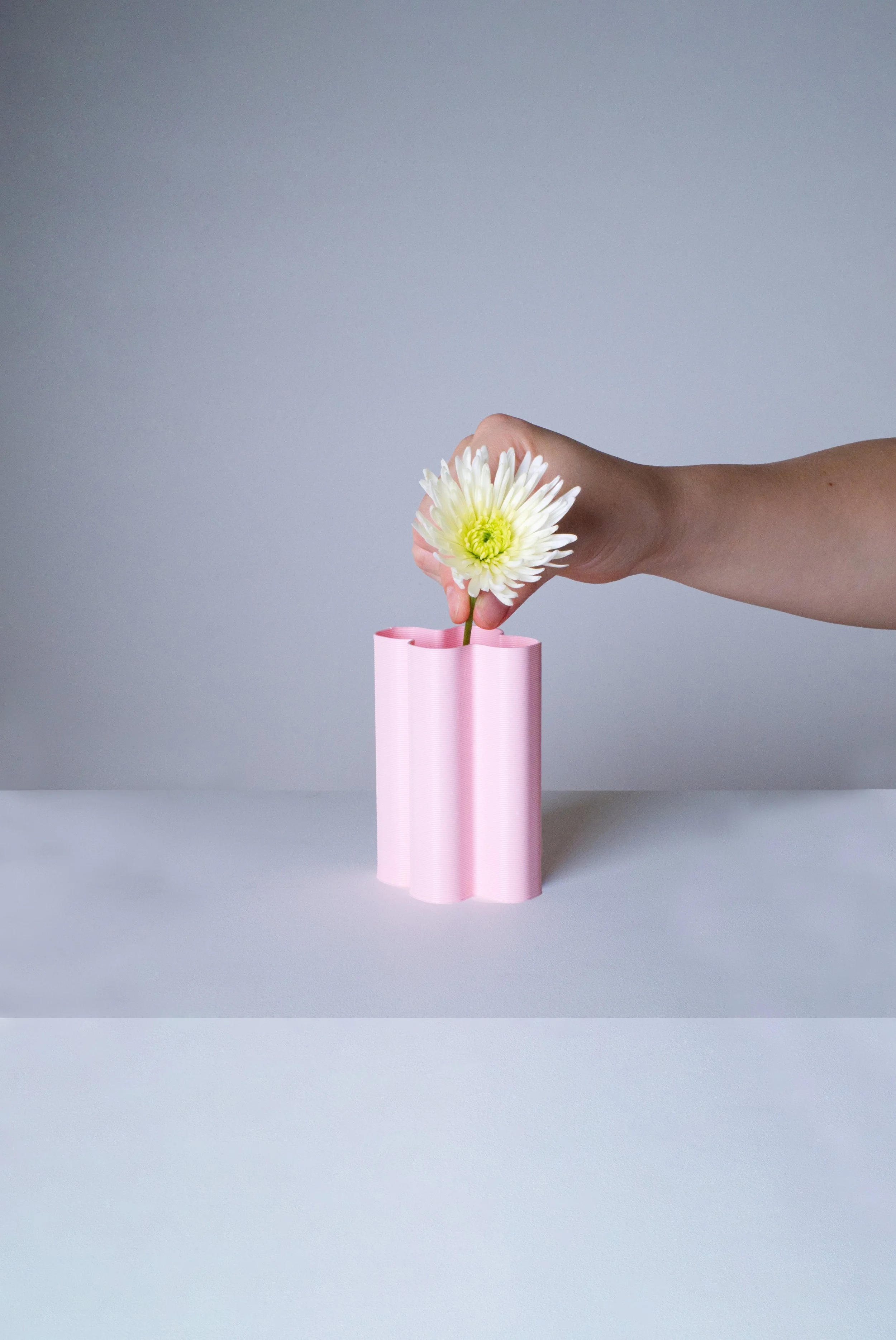mini-vase-XL-rose-fleurs-fond.jpg