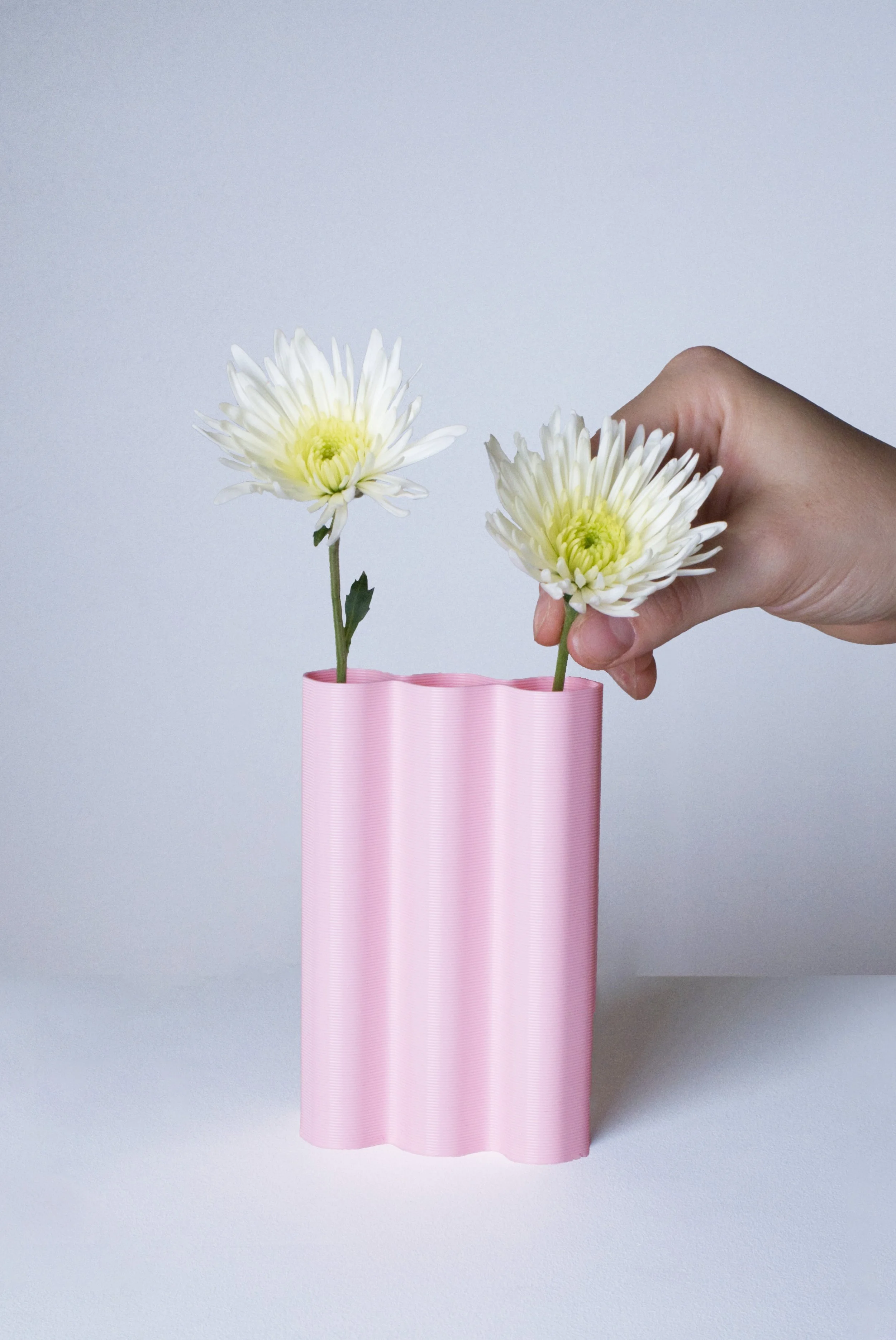 mini-L-rose-fleurs-fond.jpeg