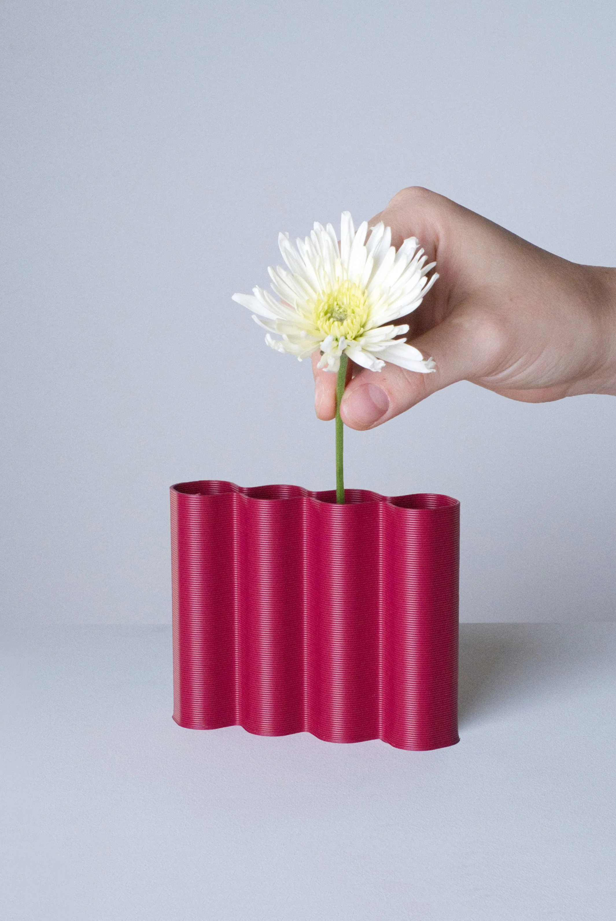 mini-vase-M-prune-fleurs-fond.jpg